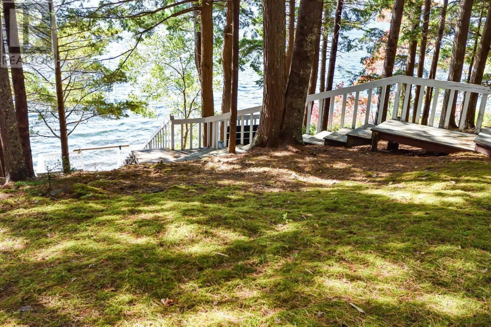 539 Canoe Island Road