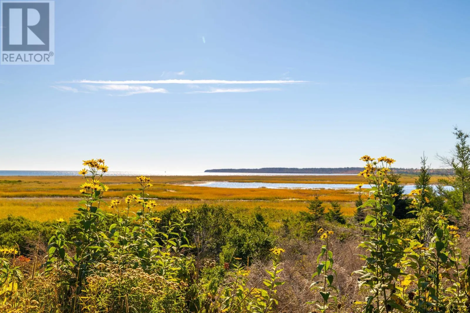 294 Bruce Point Road