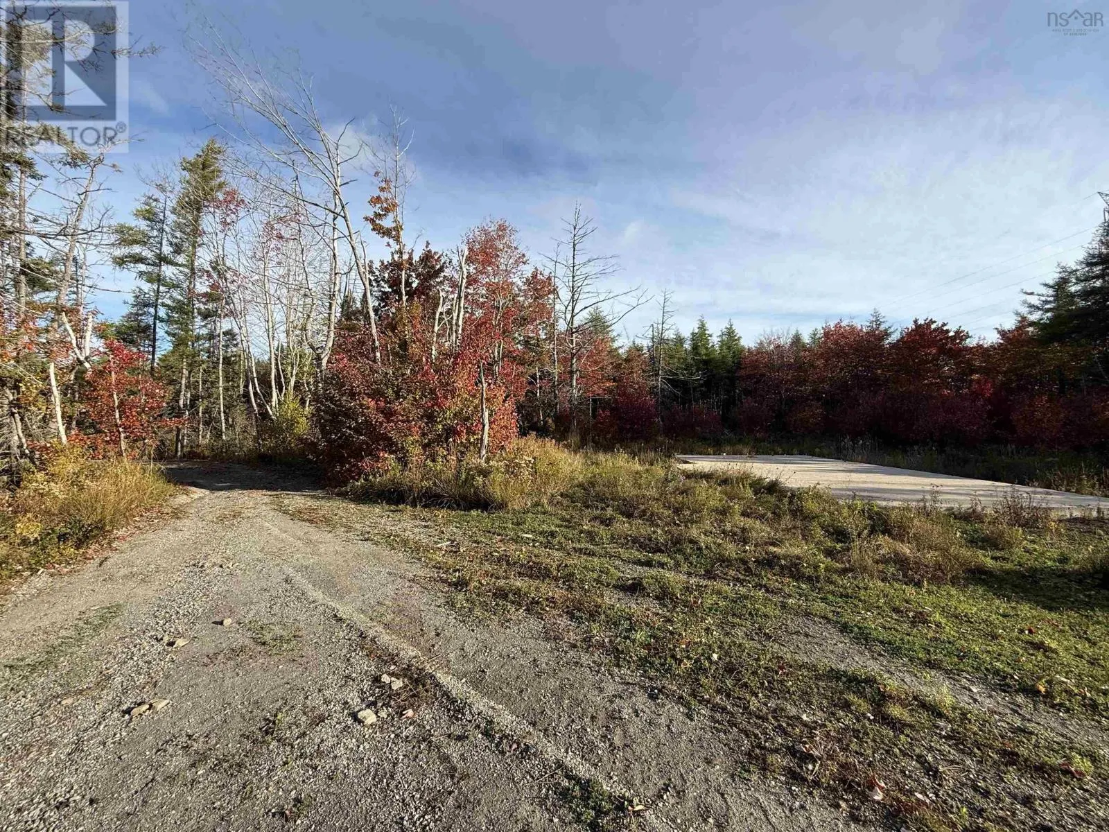 1600 Lingan Road