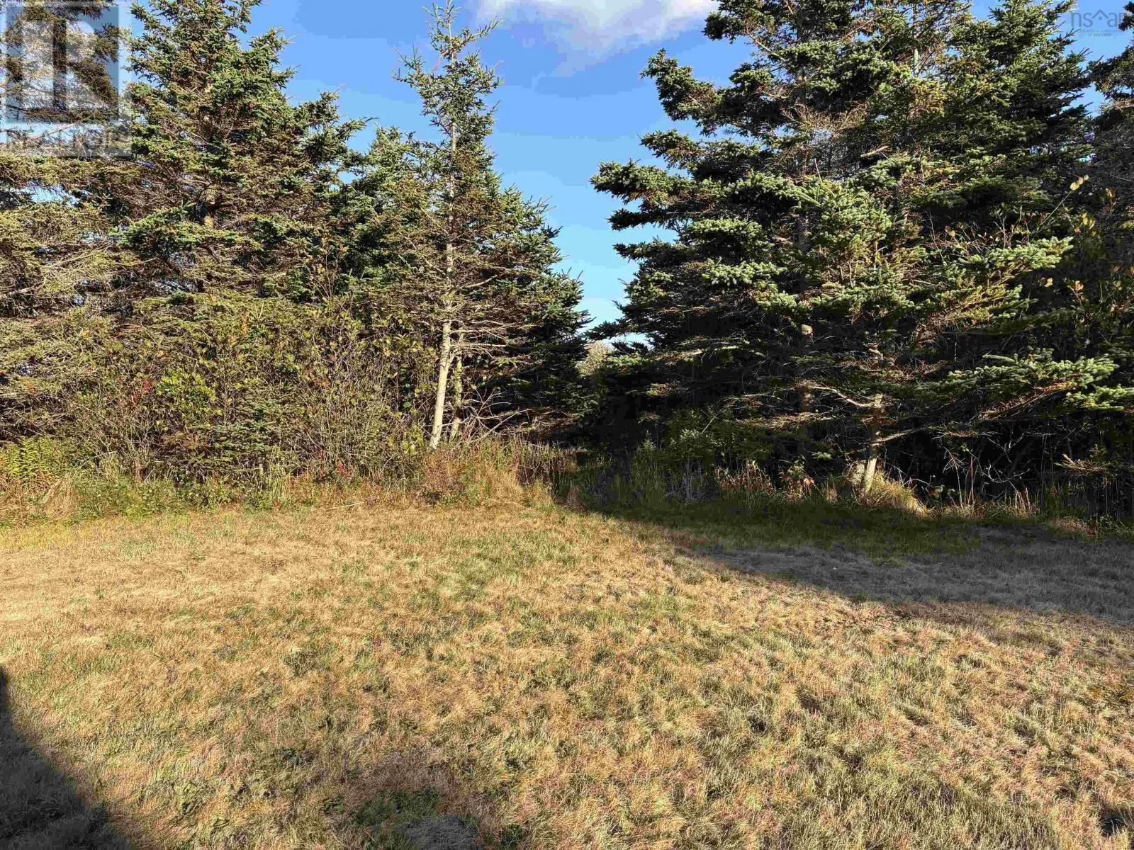 477 Overcove Road