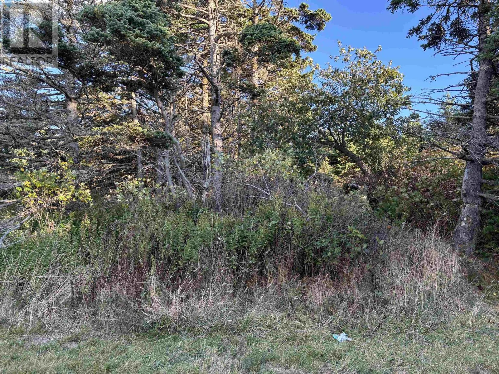 477 Overcove Road