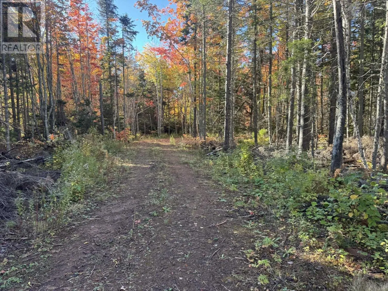 0 Mill Road