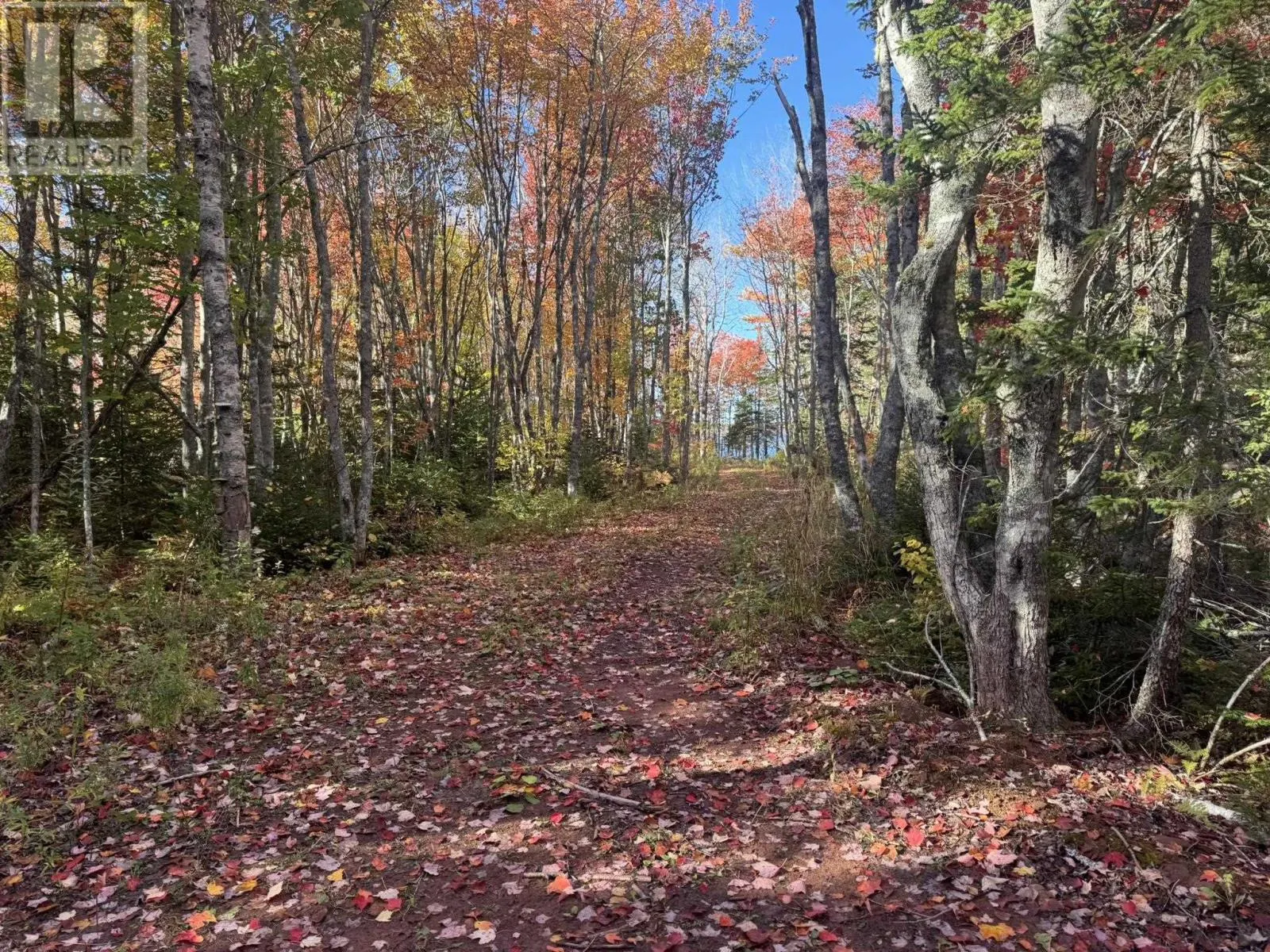0 Mill Road
