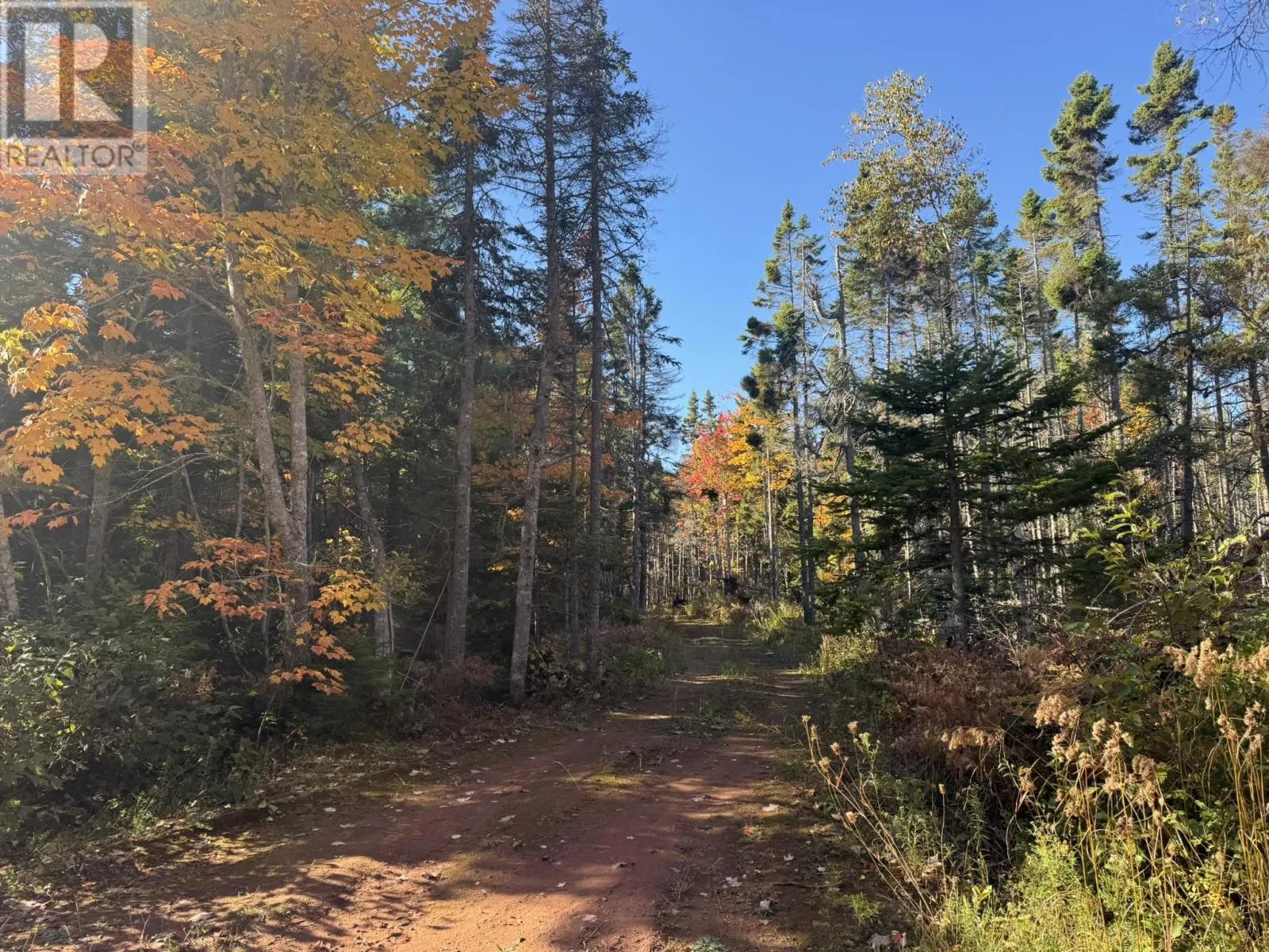0 Mill Road