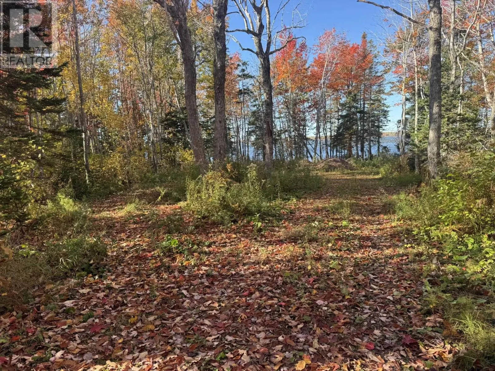 0 Mill Road