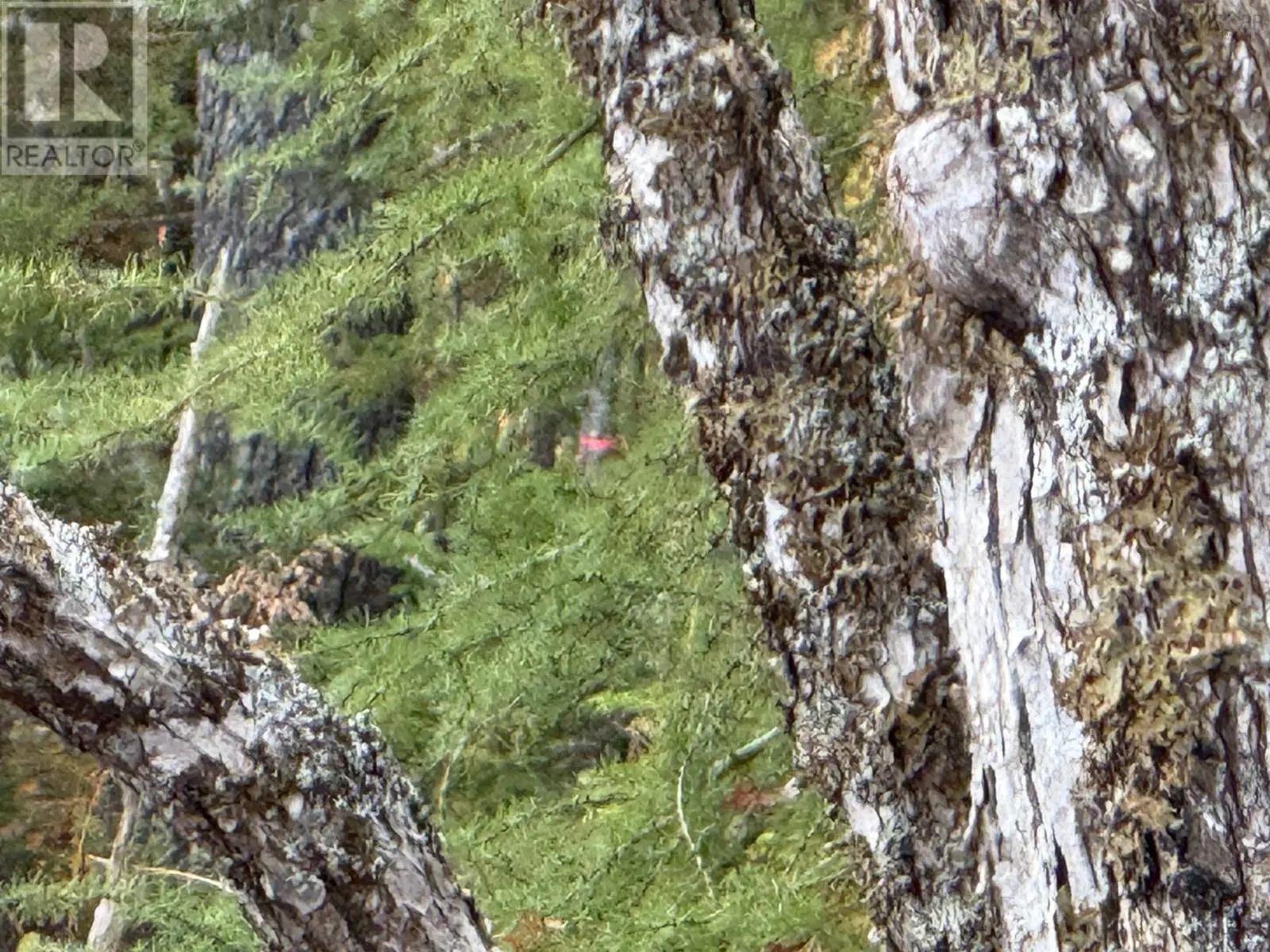 Lot 7 Old Dam Road