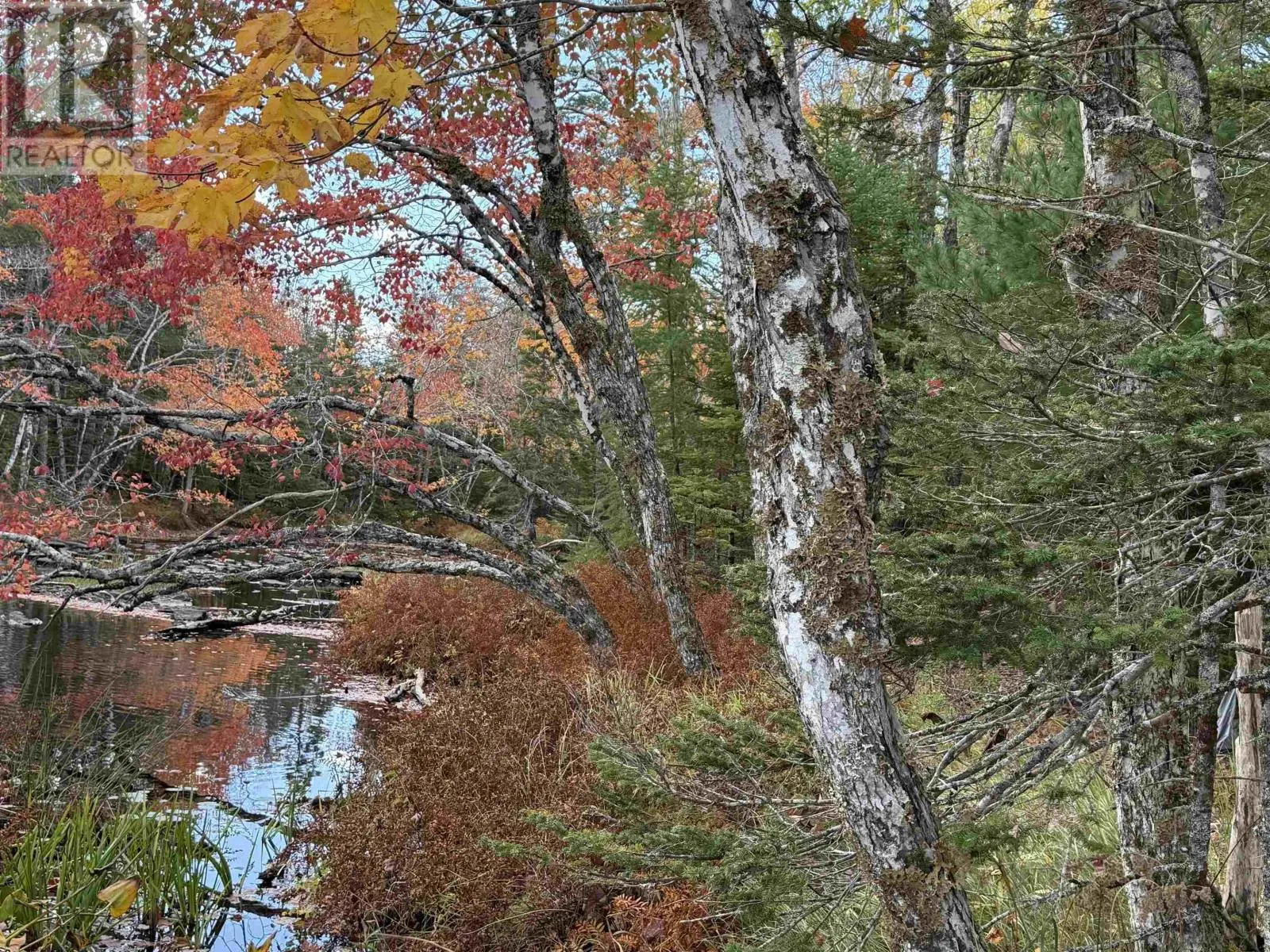 Lot 7 Old Dam Road