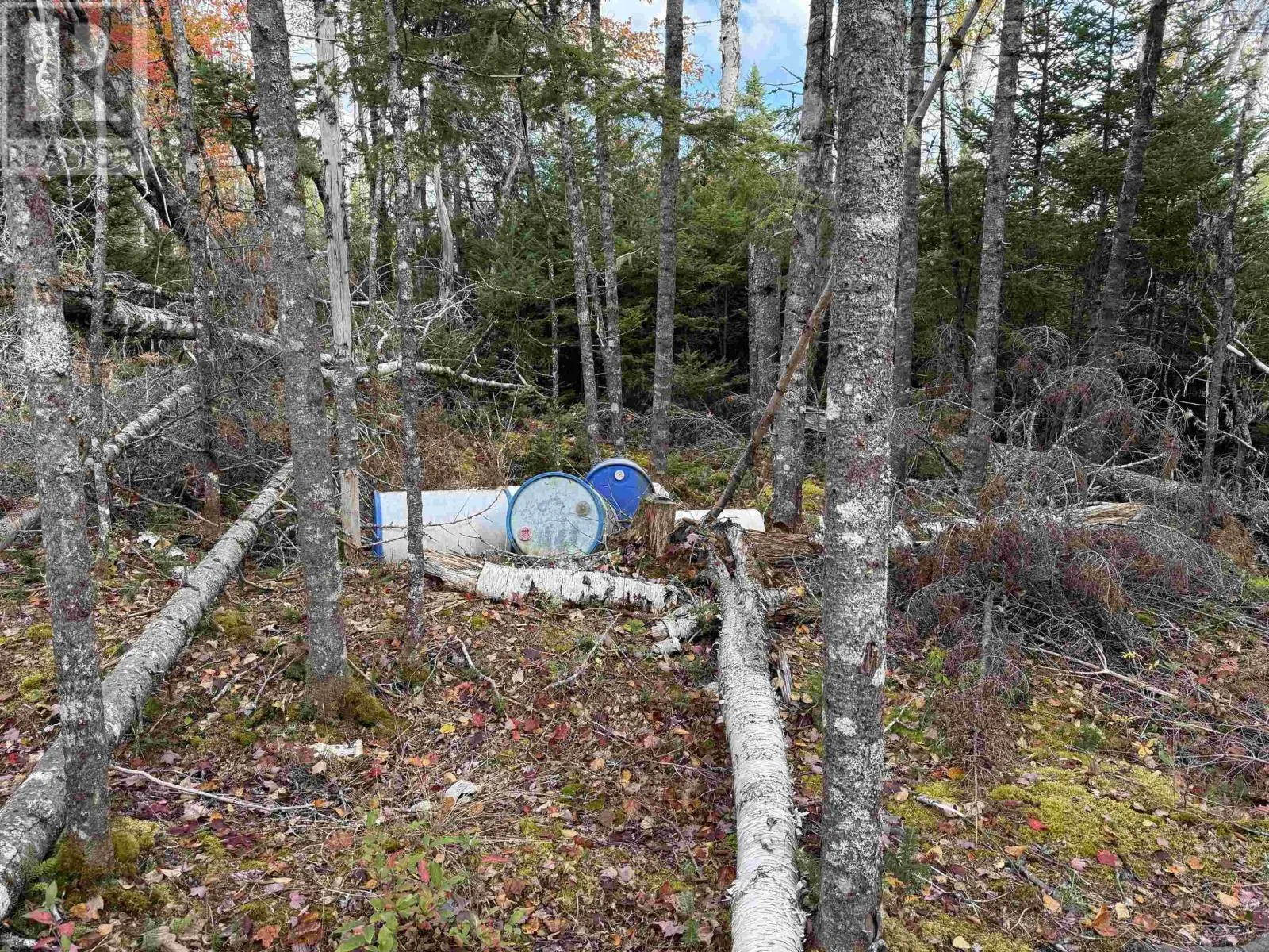 Lot 7 Old Dam Road