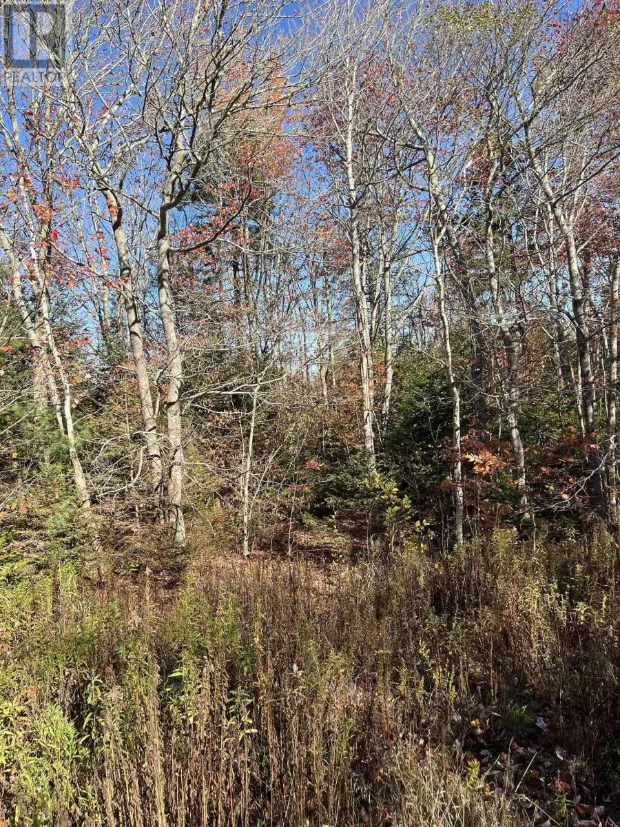 1496 Hampton Mountain Road