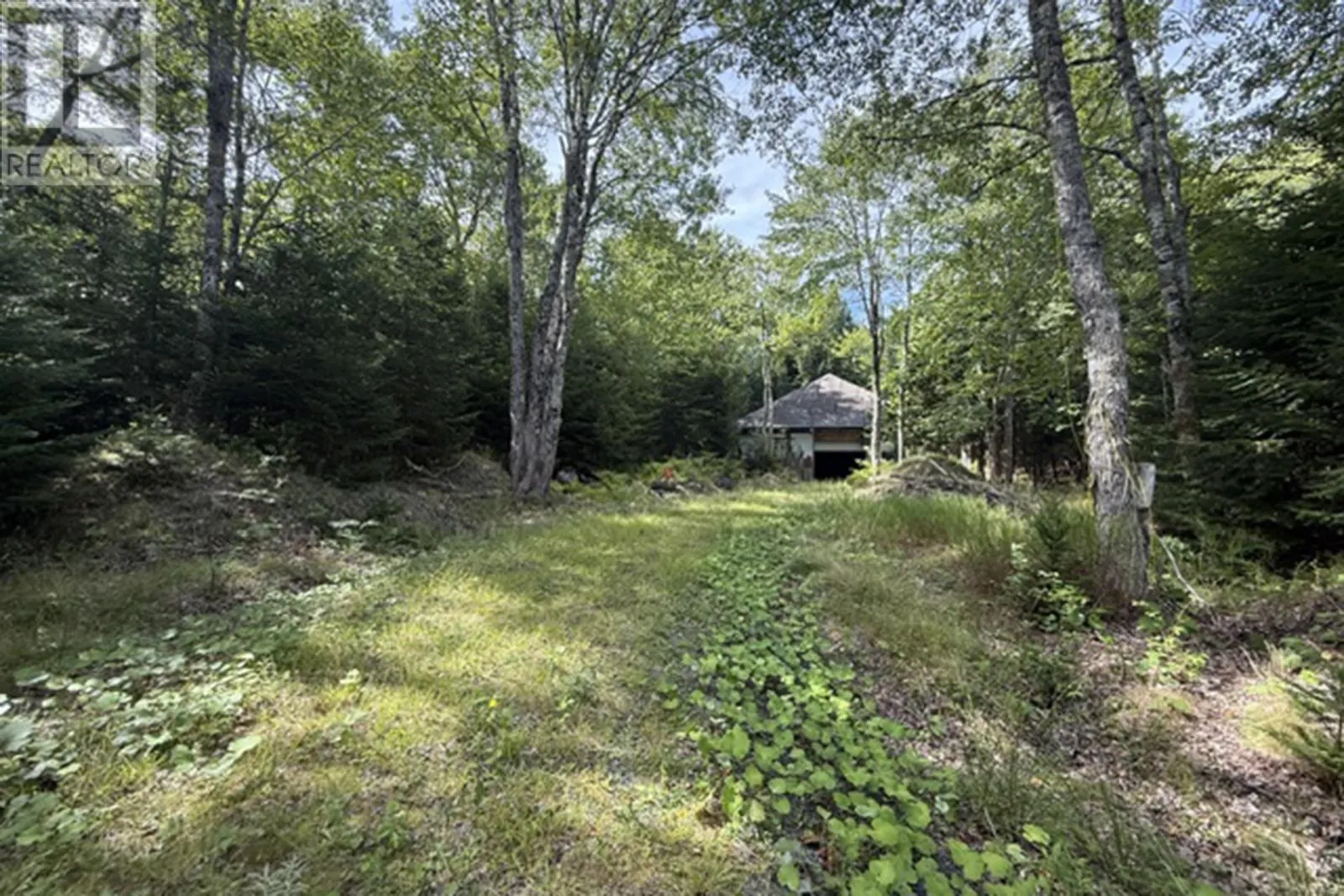 7 Rhines Road