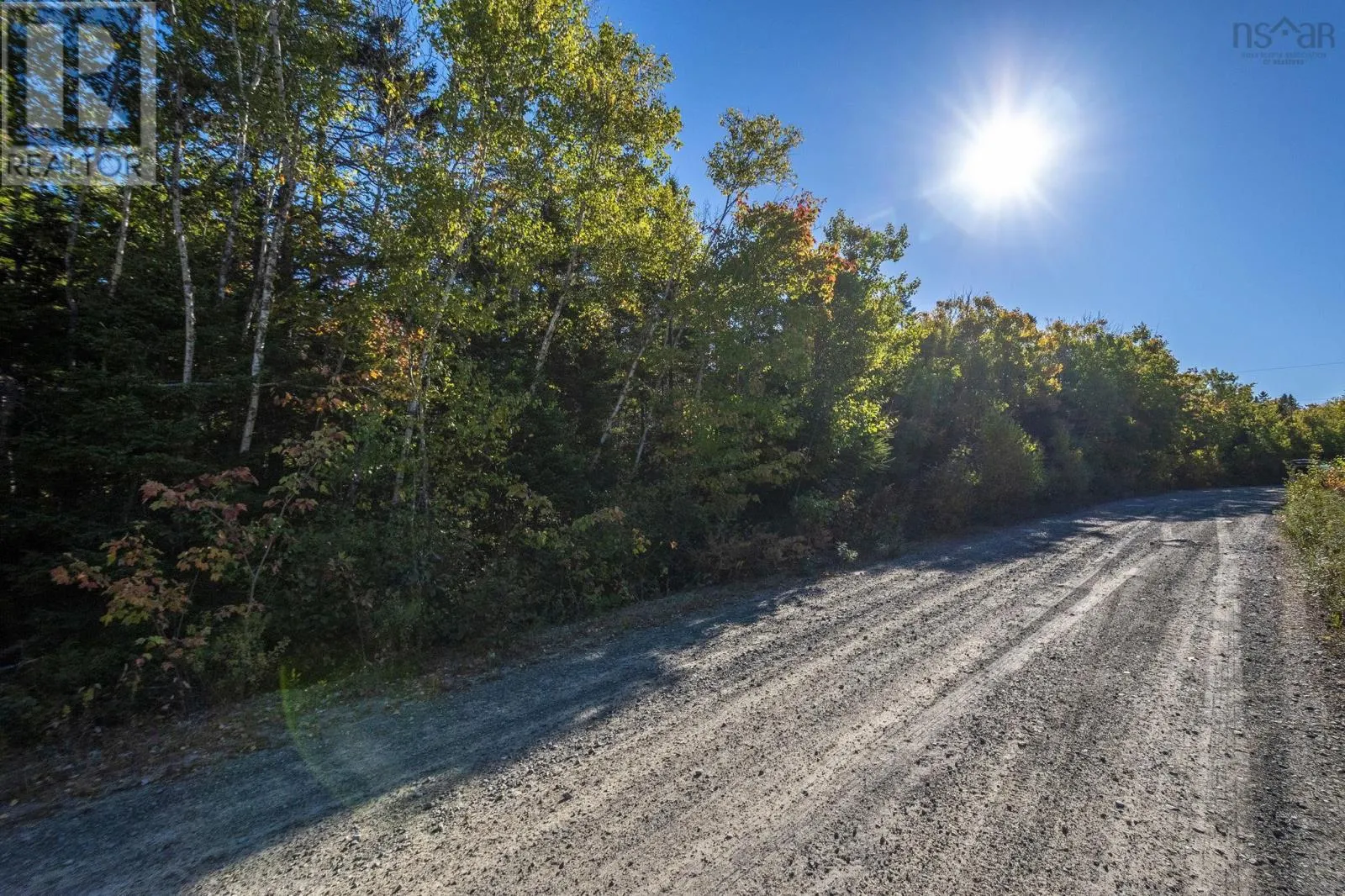 County Line Station Rd