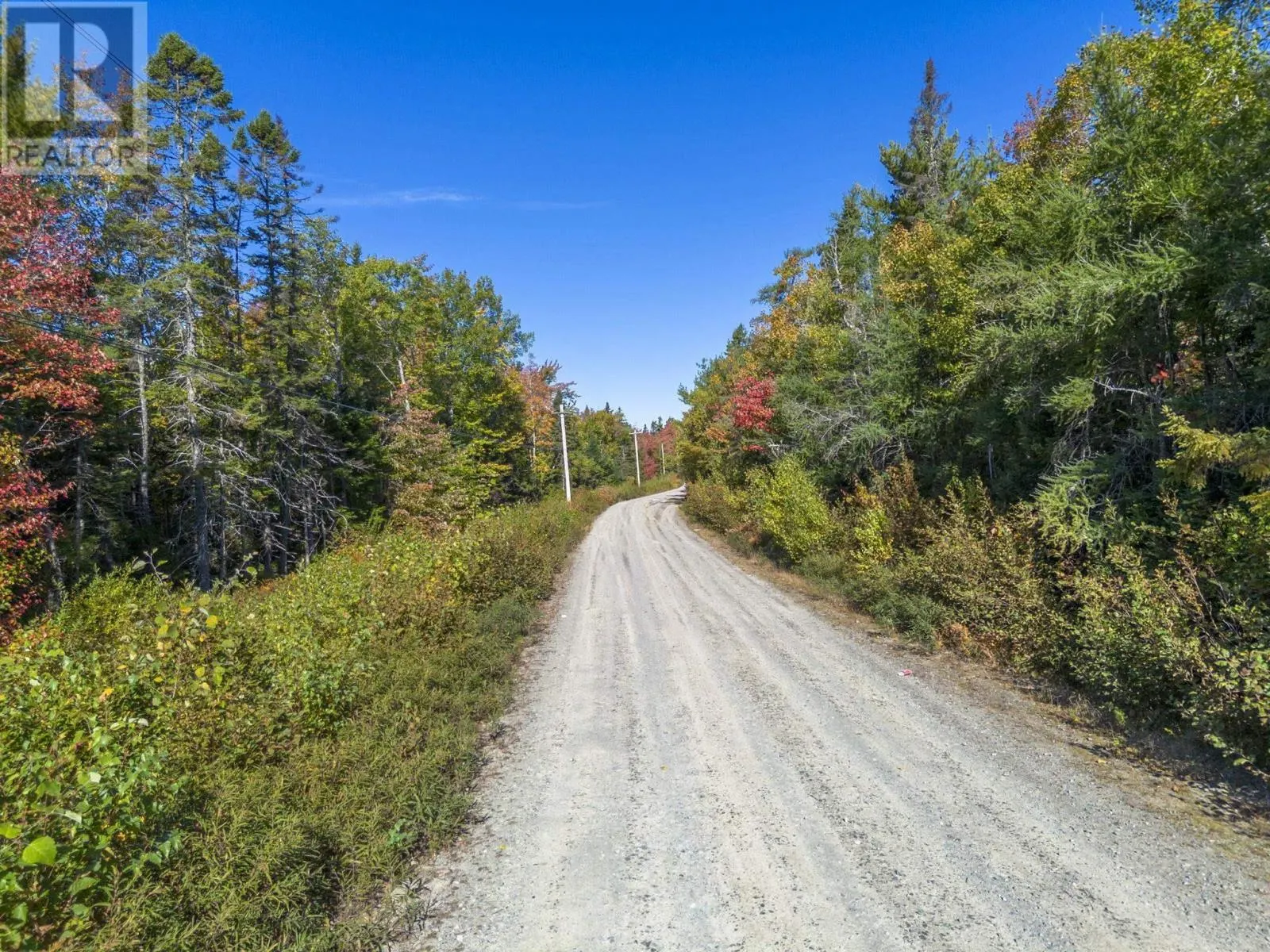 County Line Station Rd
