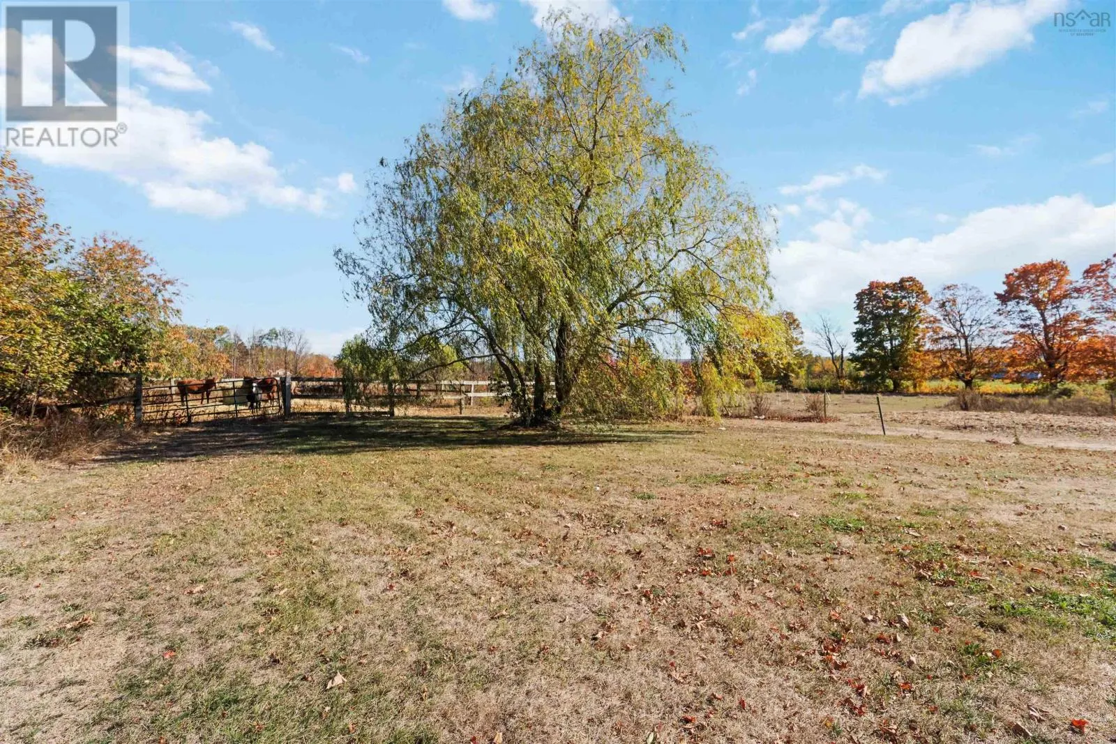 2124 Black Rock Road
