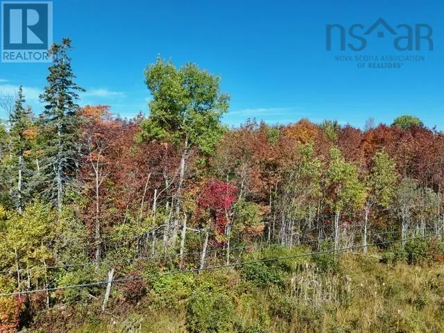 Lot 1A-1 Big Baddeck Road