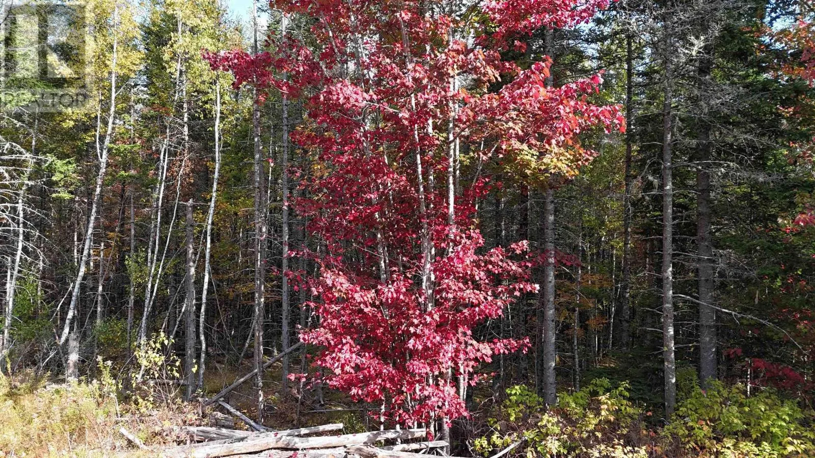 Lot Chesley Road