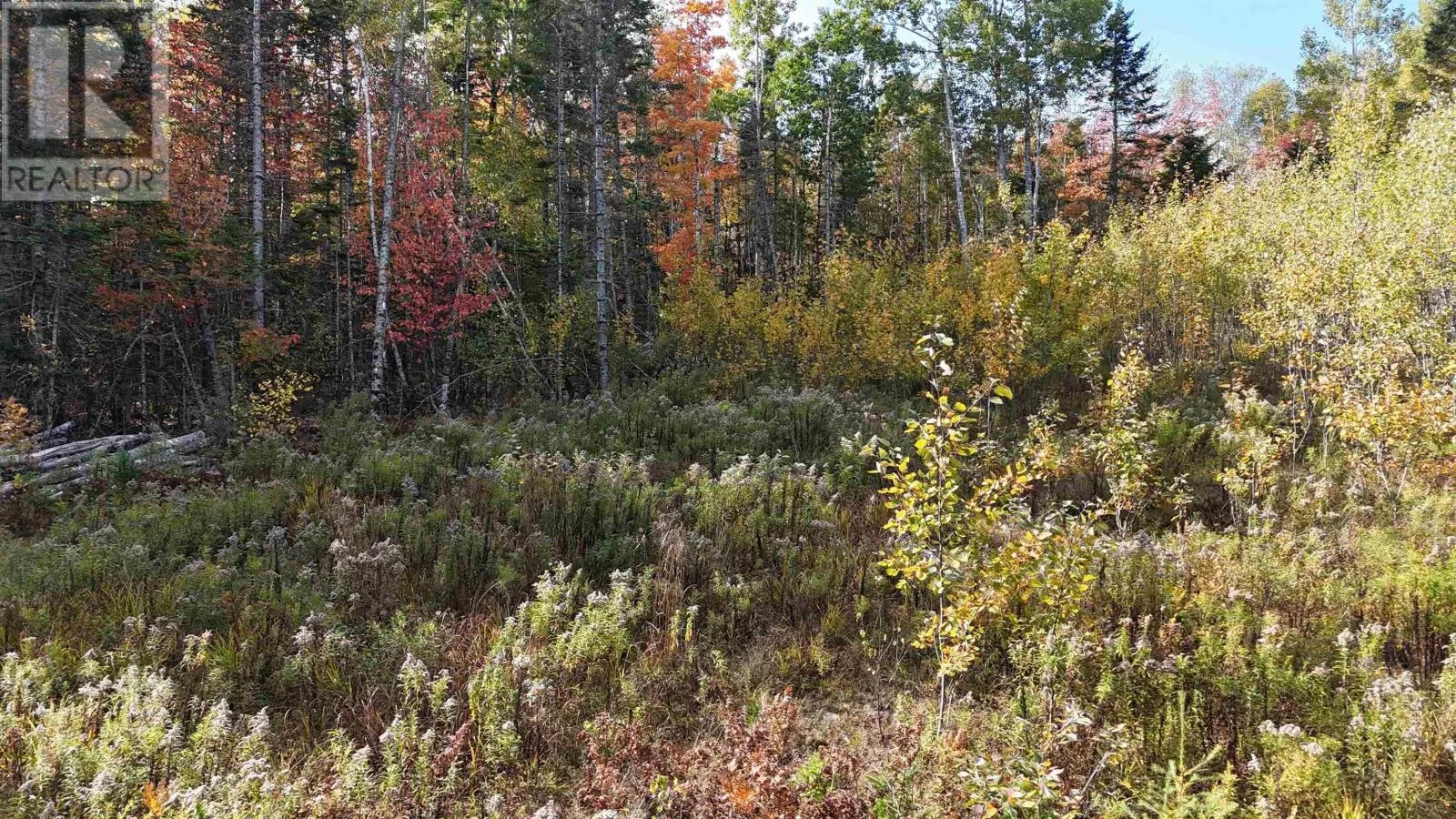 Lot Chesley Road