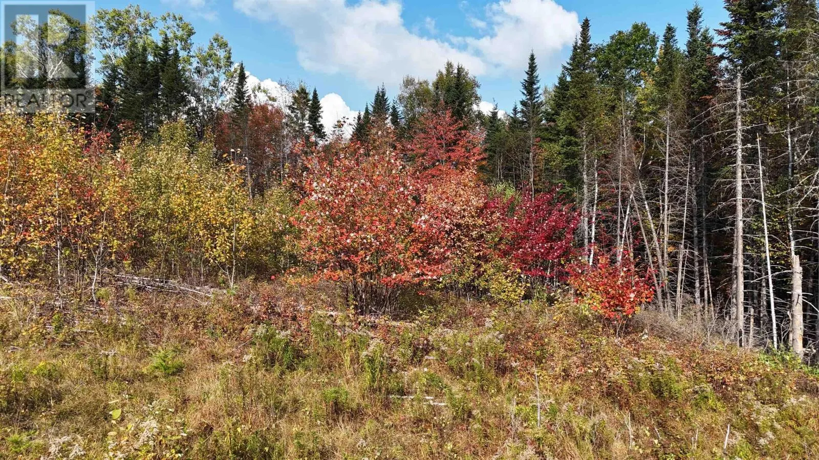 Lot Chesley Road