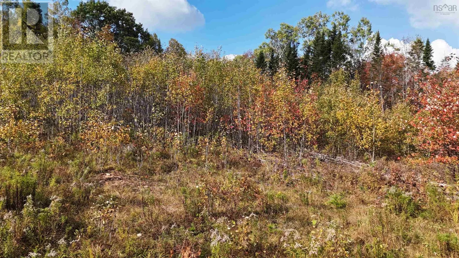 Lot Chesley Road