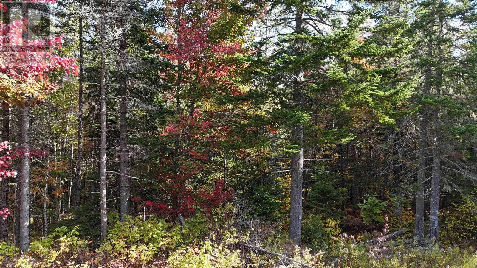 Lot Chesley Road