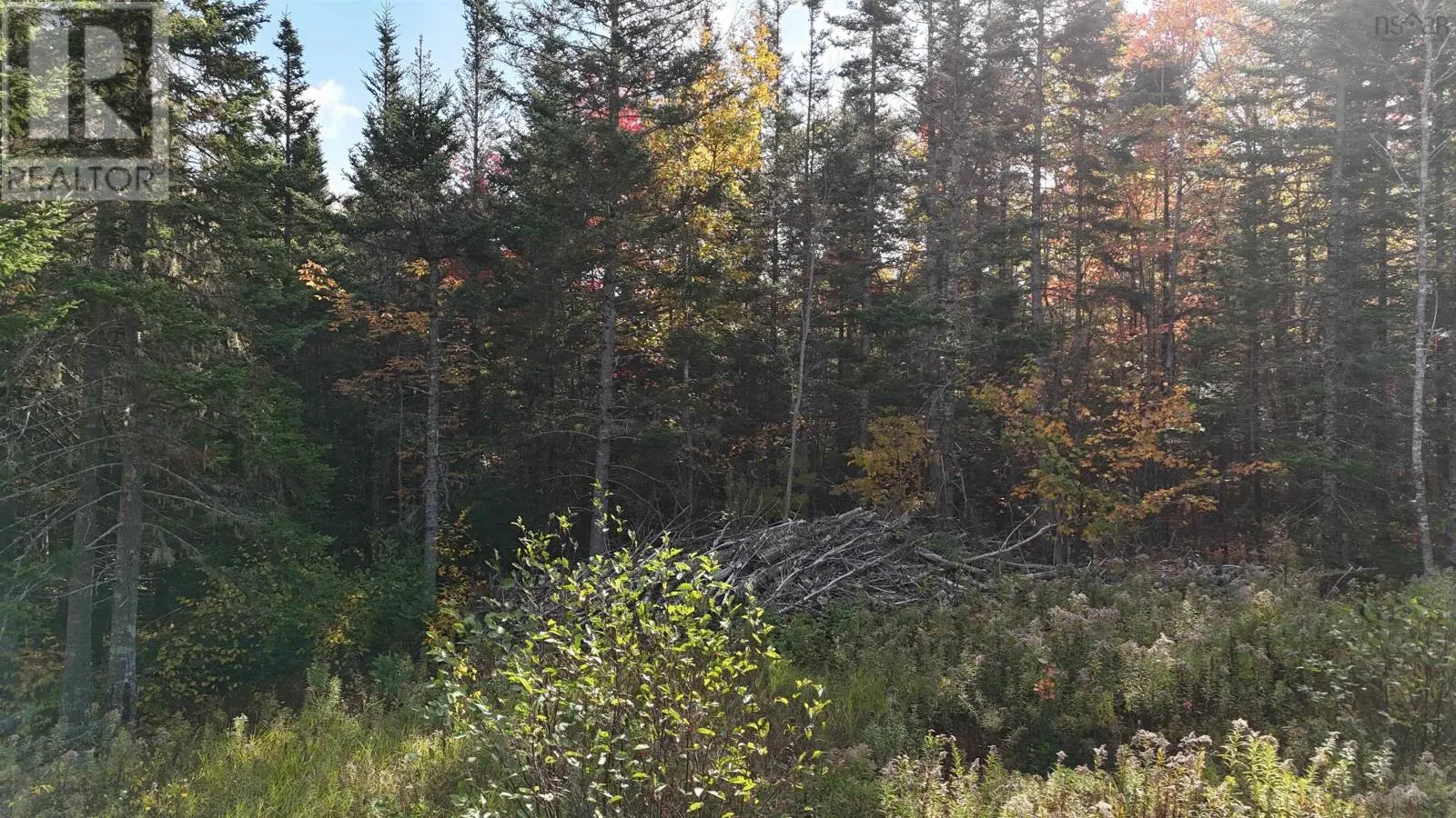Lot Chesley Road