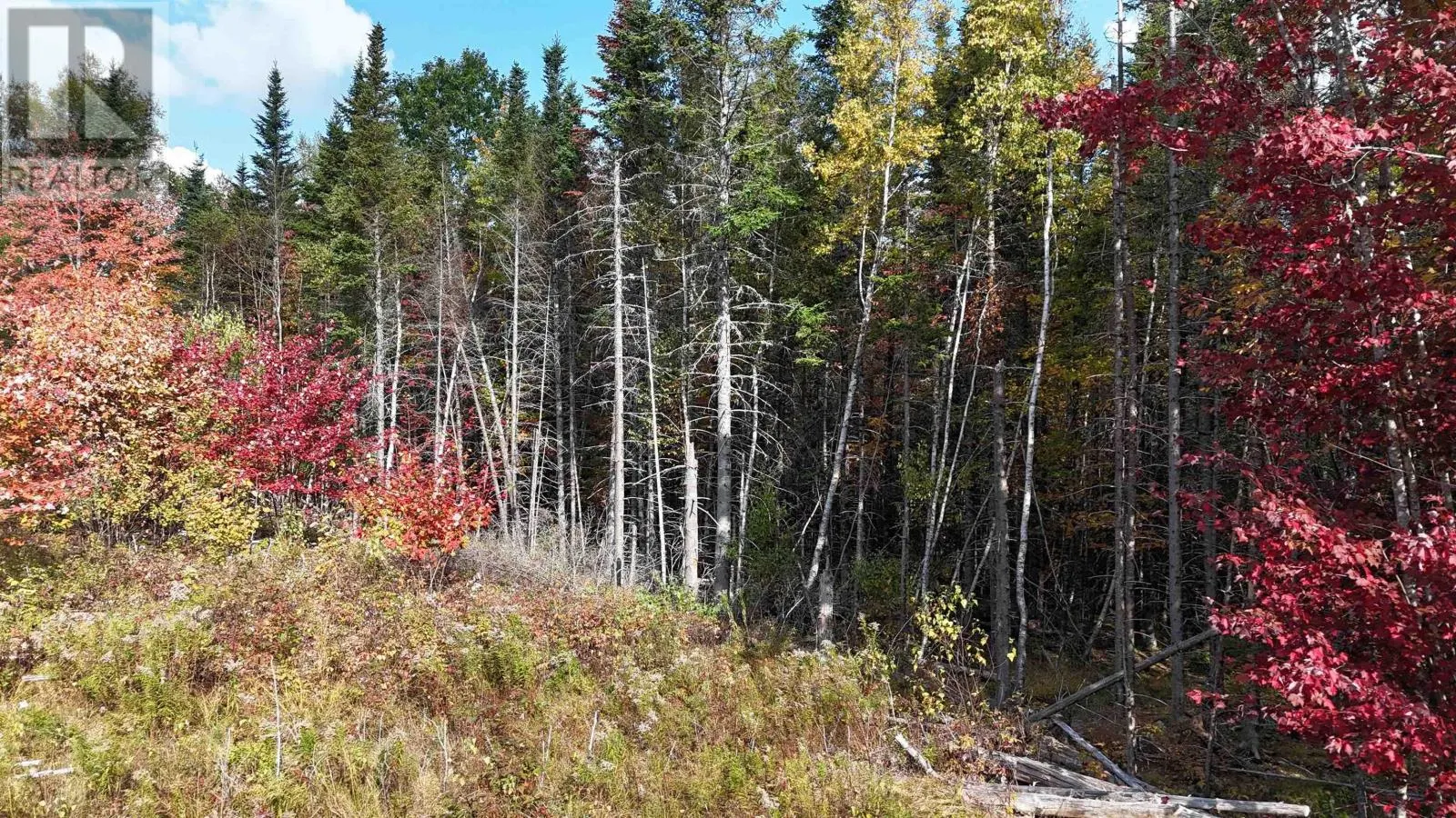 Lot Chesley Road
