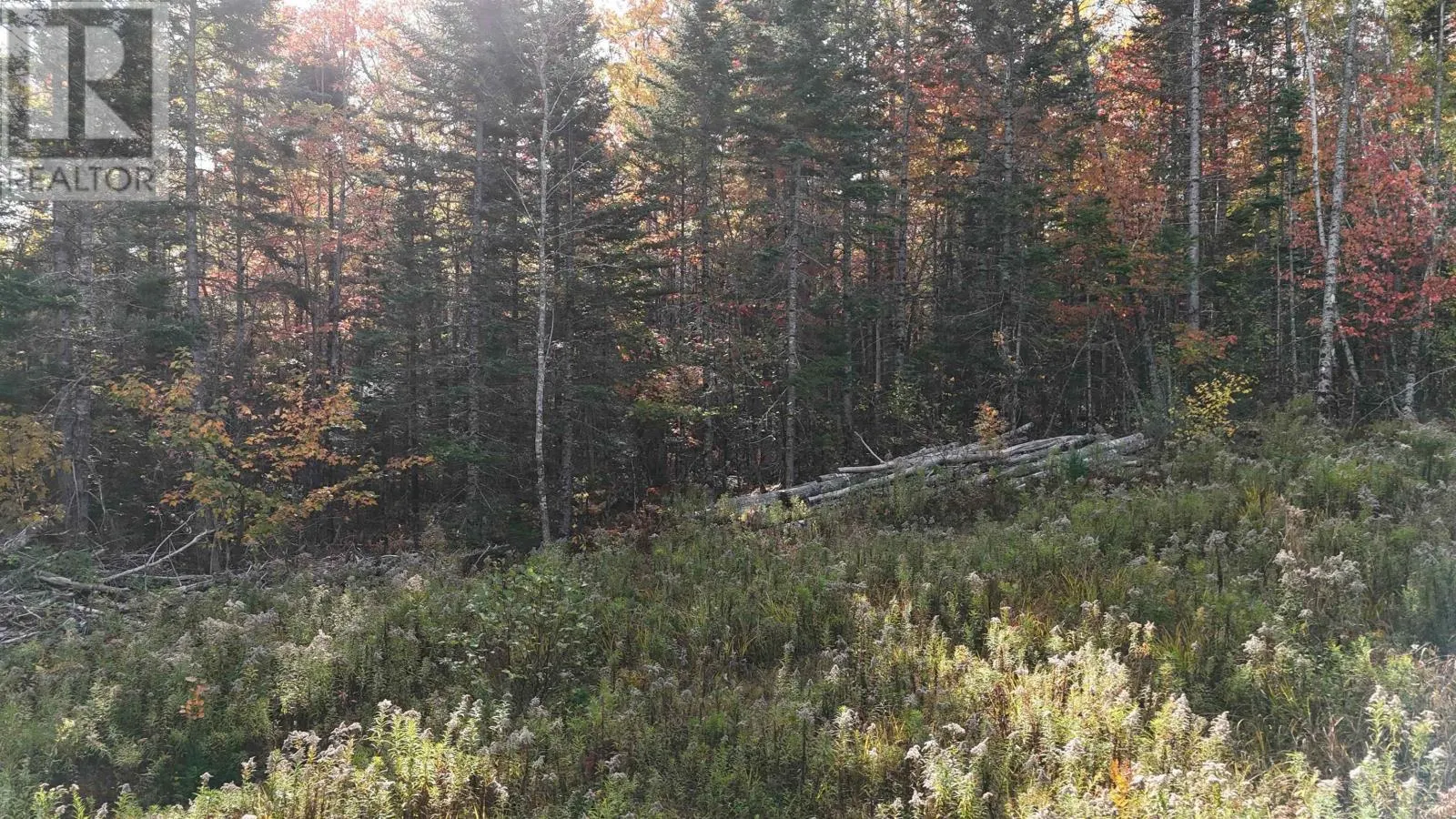 Lot Chesley Road