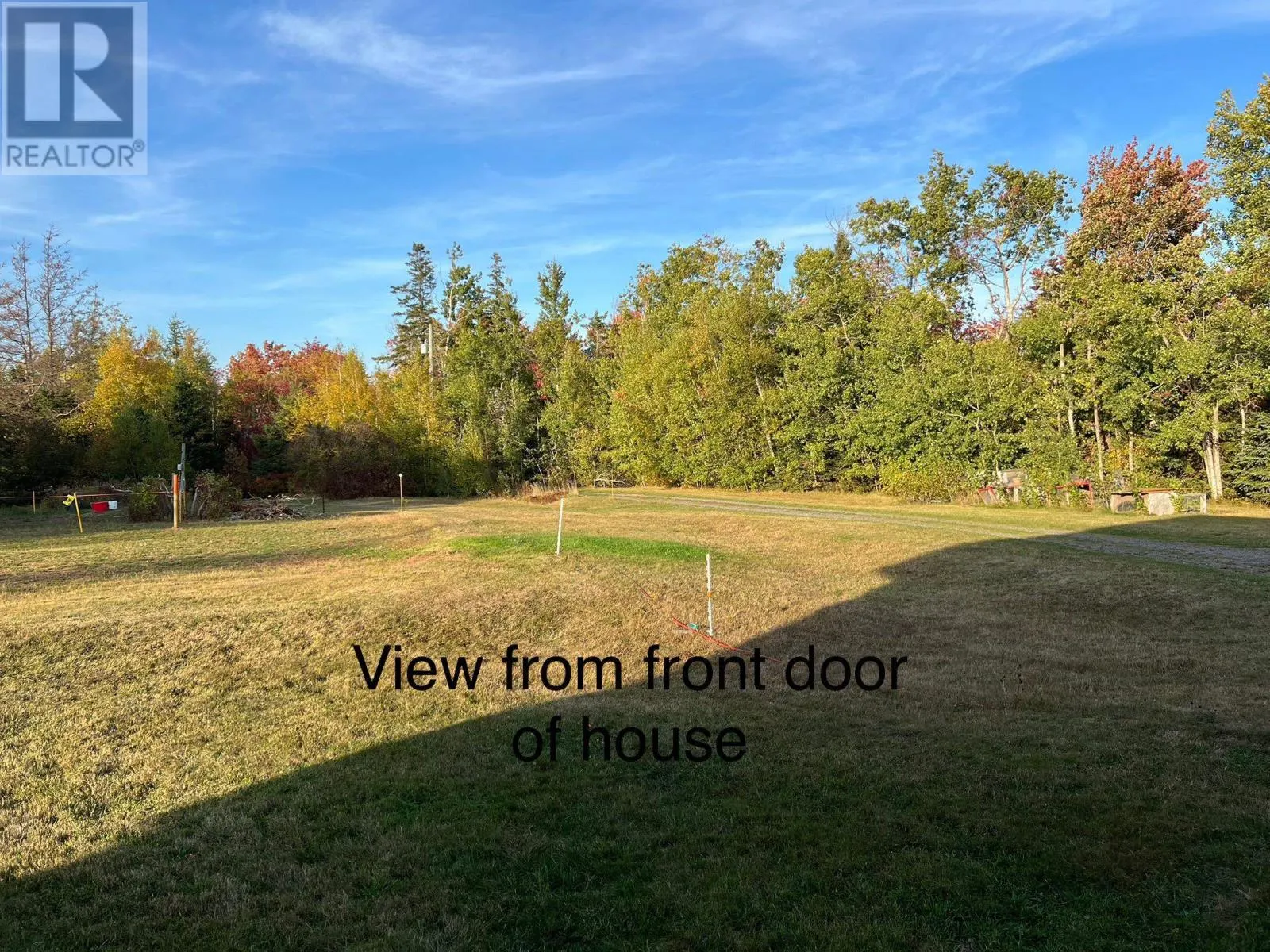 205 Dundee Loop