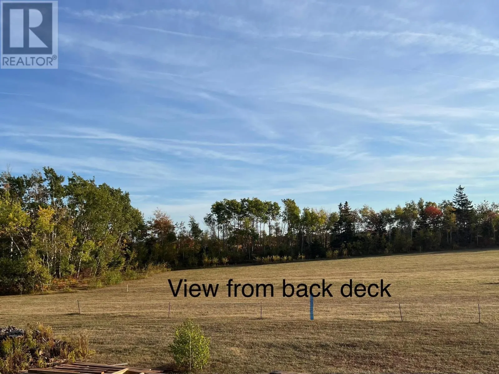 205 Dundee Loop