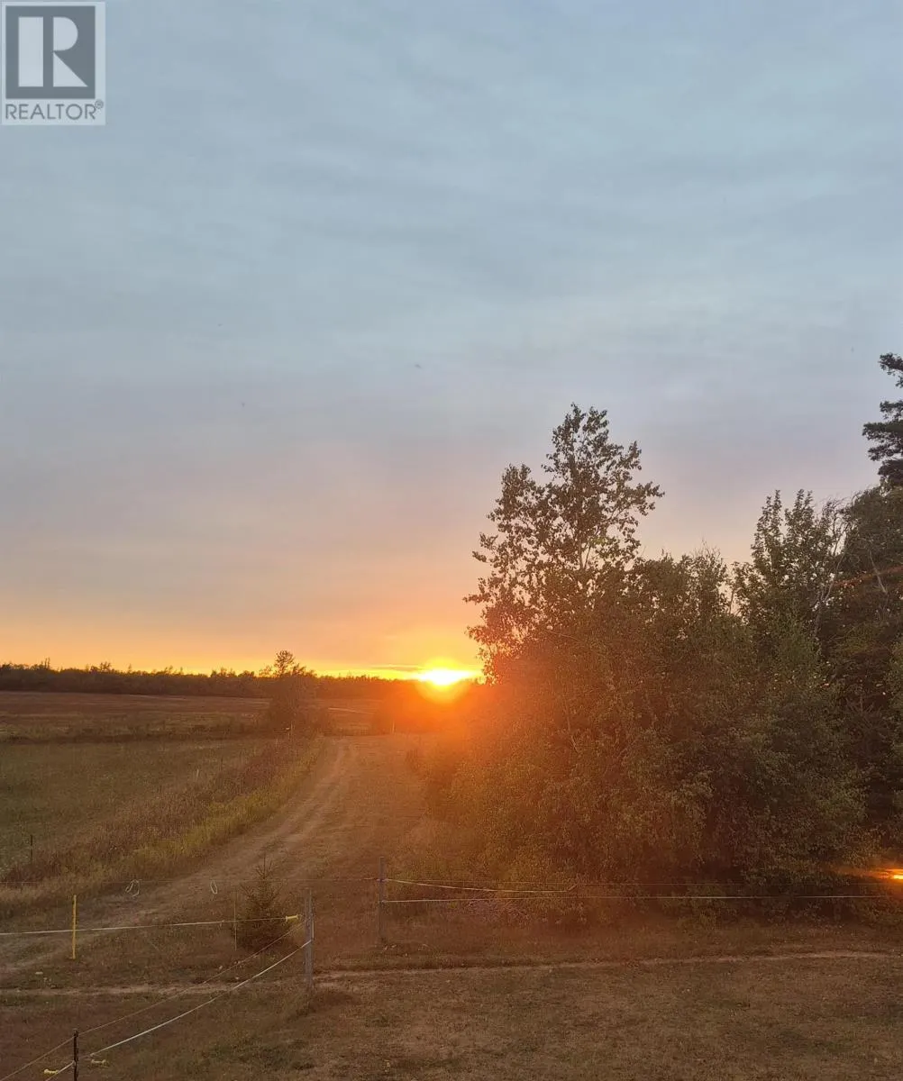 205 Dundee Loop