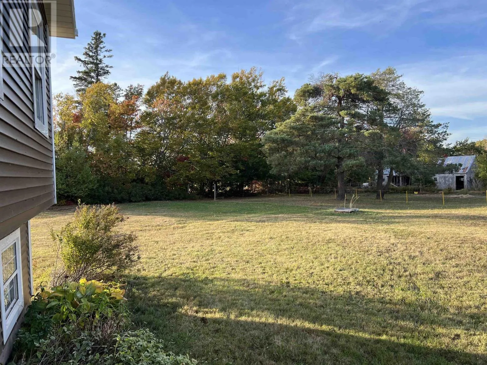205 Dundee Loop