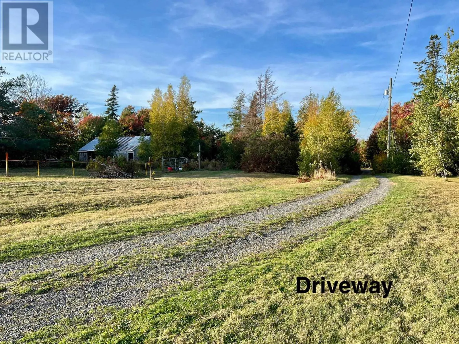 205 Dundee Loop