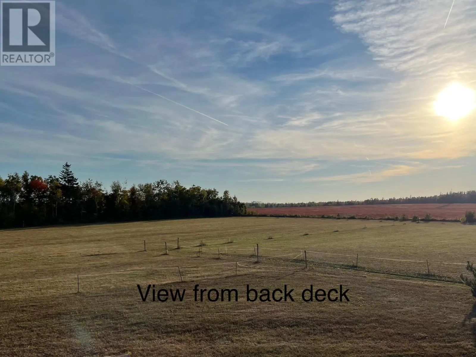 205 Dundee Loop