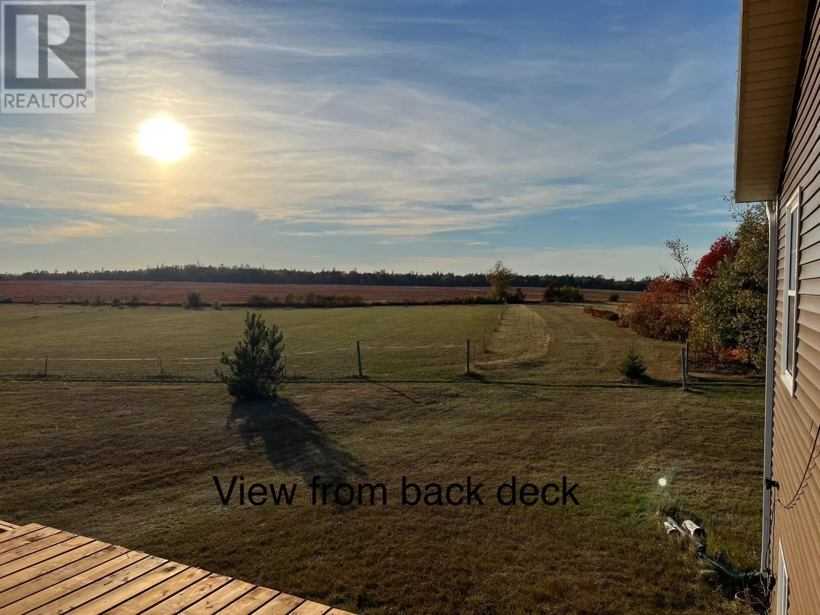 205 Dundee Loop