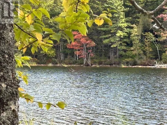 Lot 3 & 4 Lakeshore