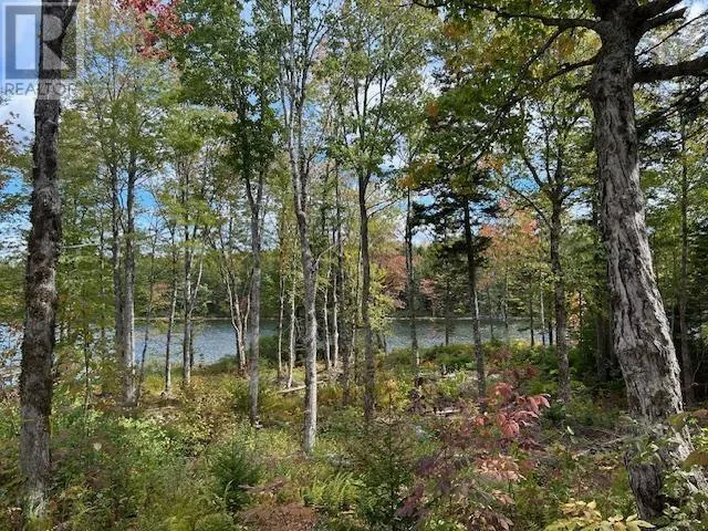 Lot 3 & 4 Lakeshore