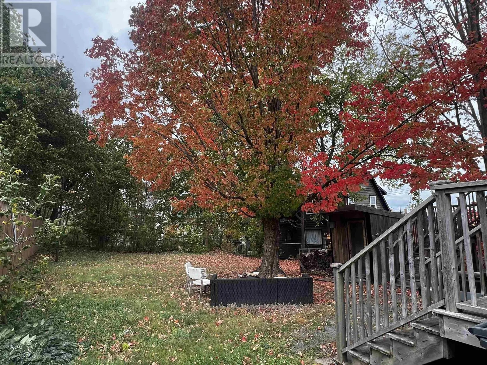 14 Allan Avenue
