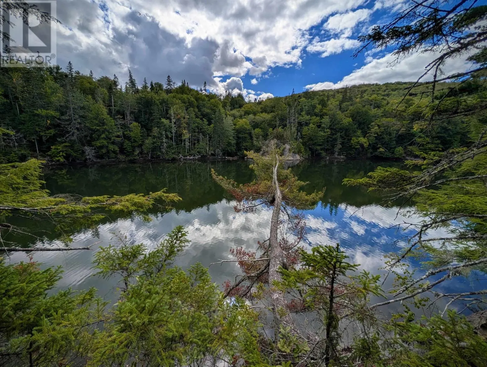 Lot 2 Highway 316