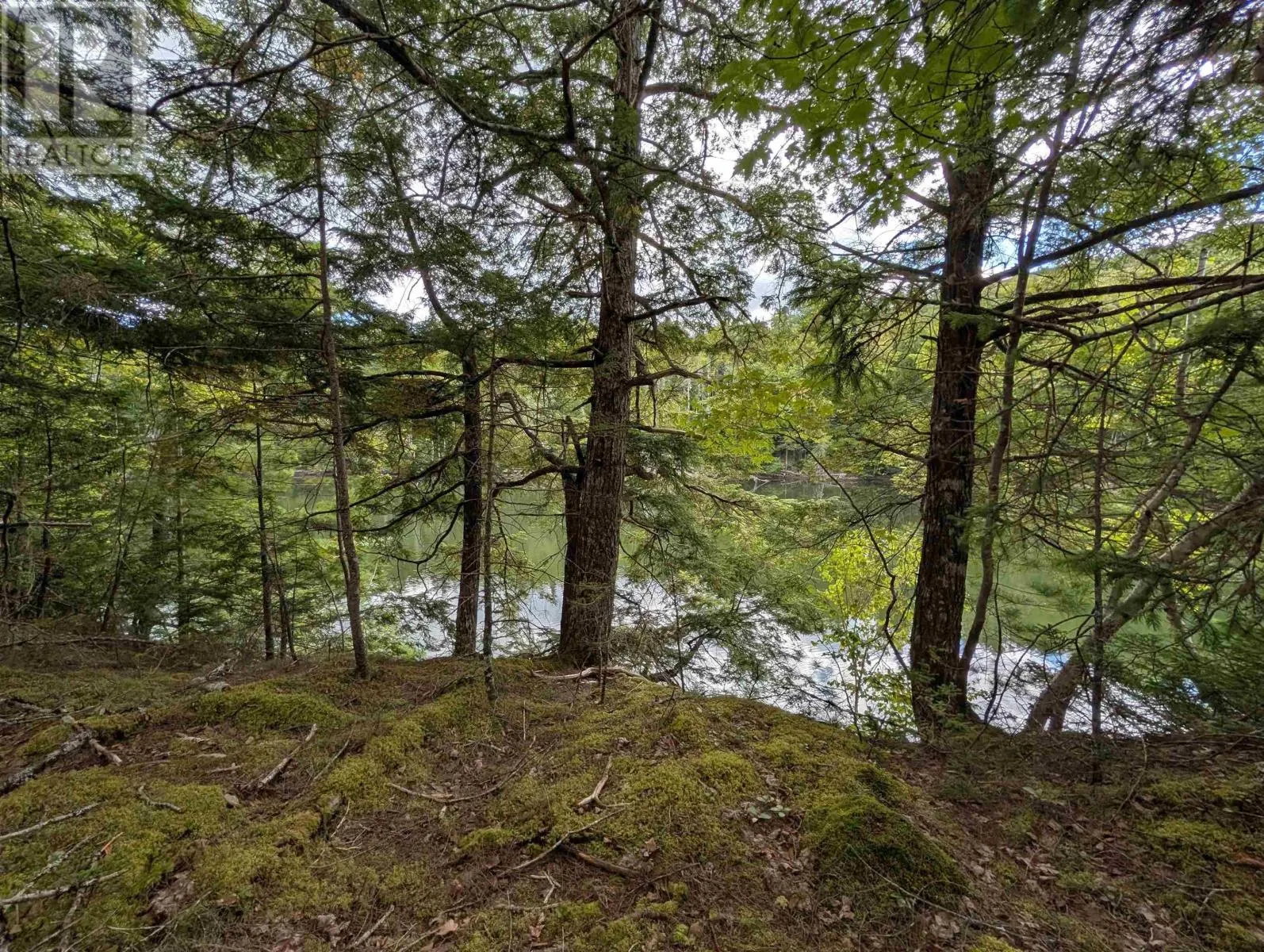 Lot 2 Highway 316
