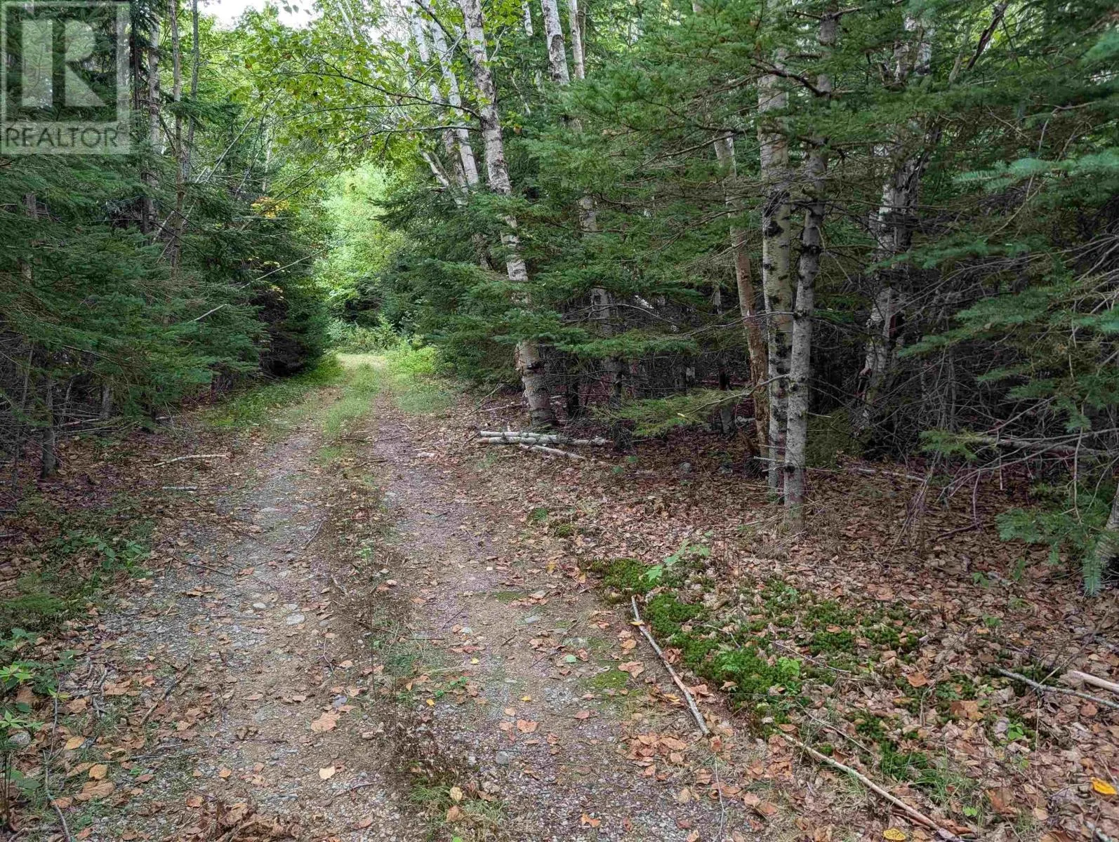Lot 2 Highway 316