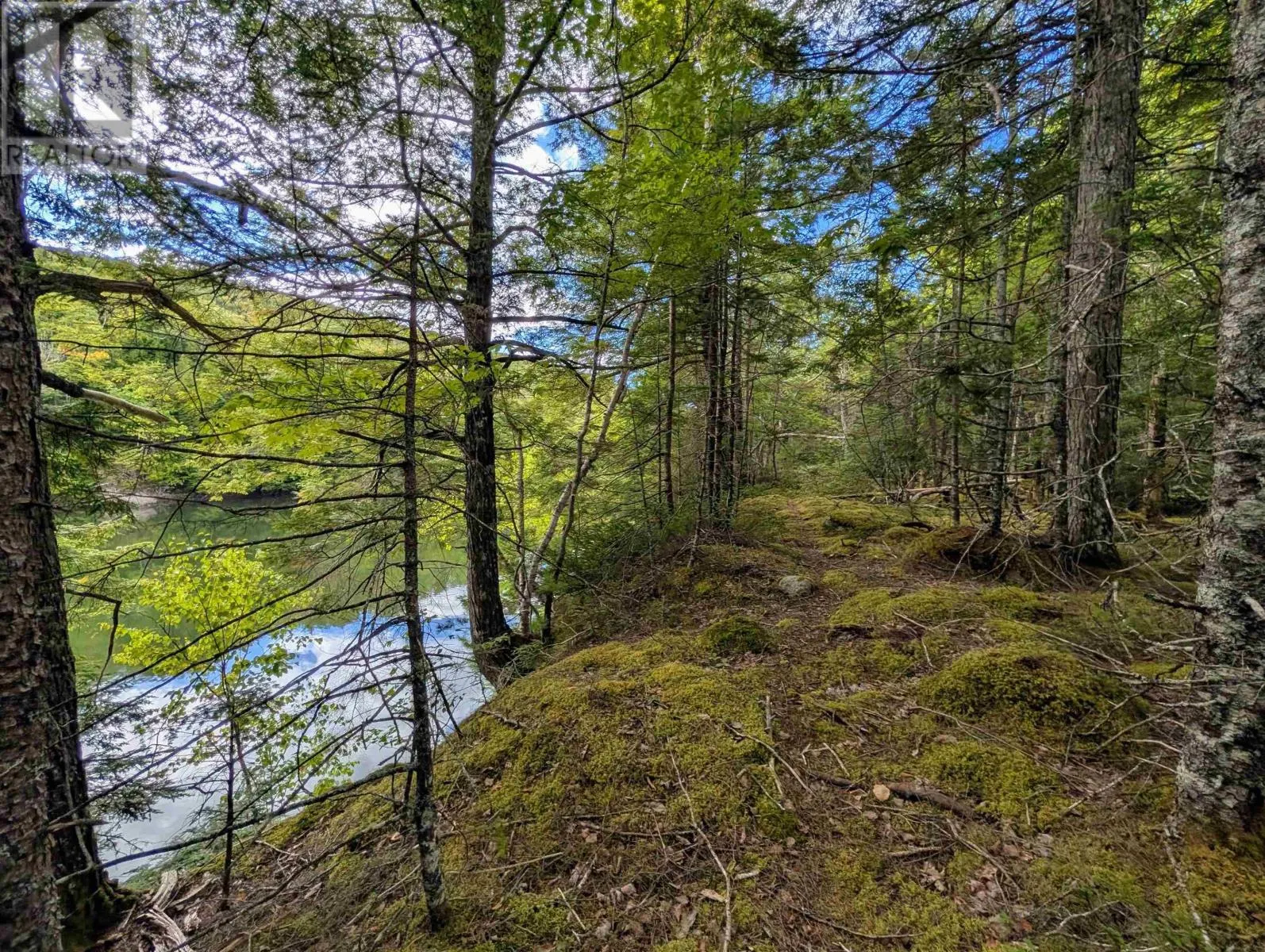 Lot 2 Highway 316