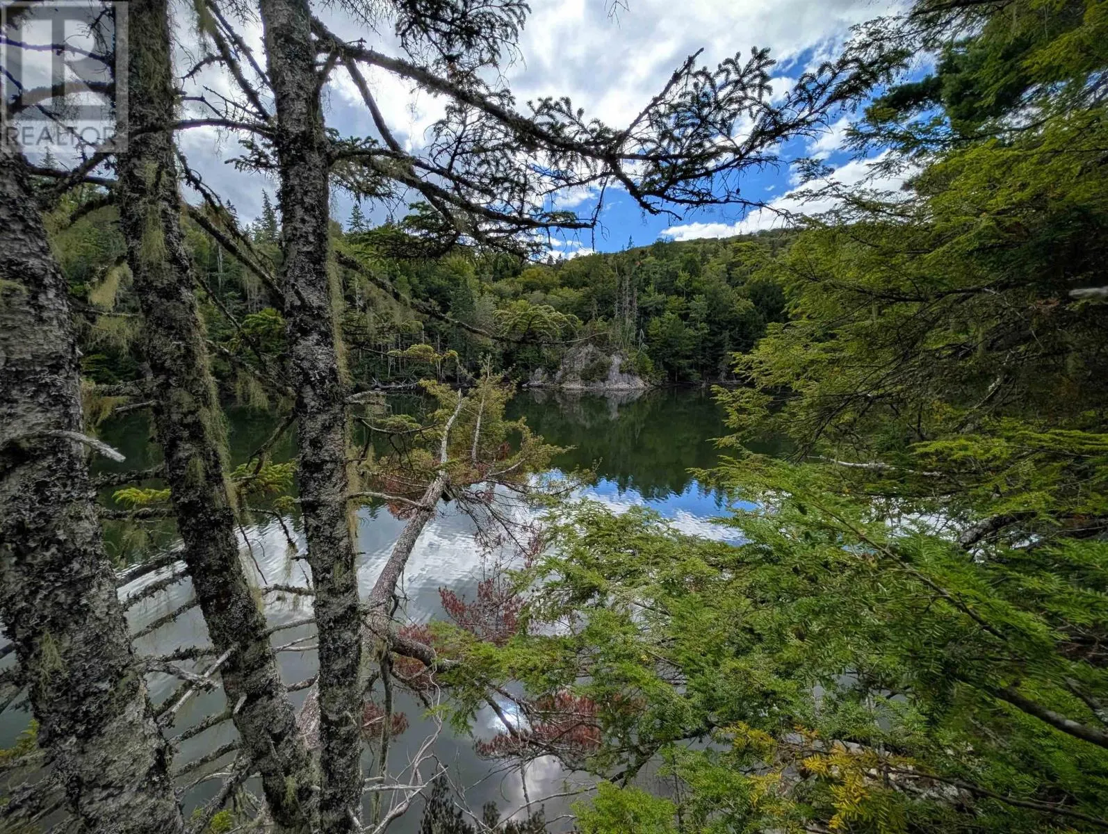Lot 2 Highway 316