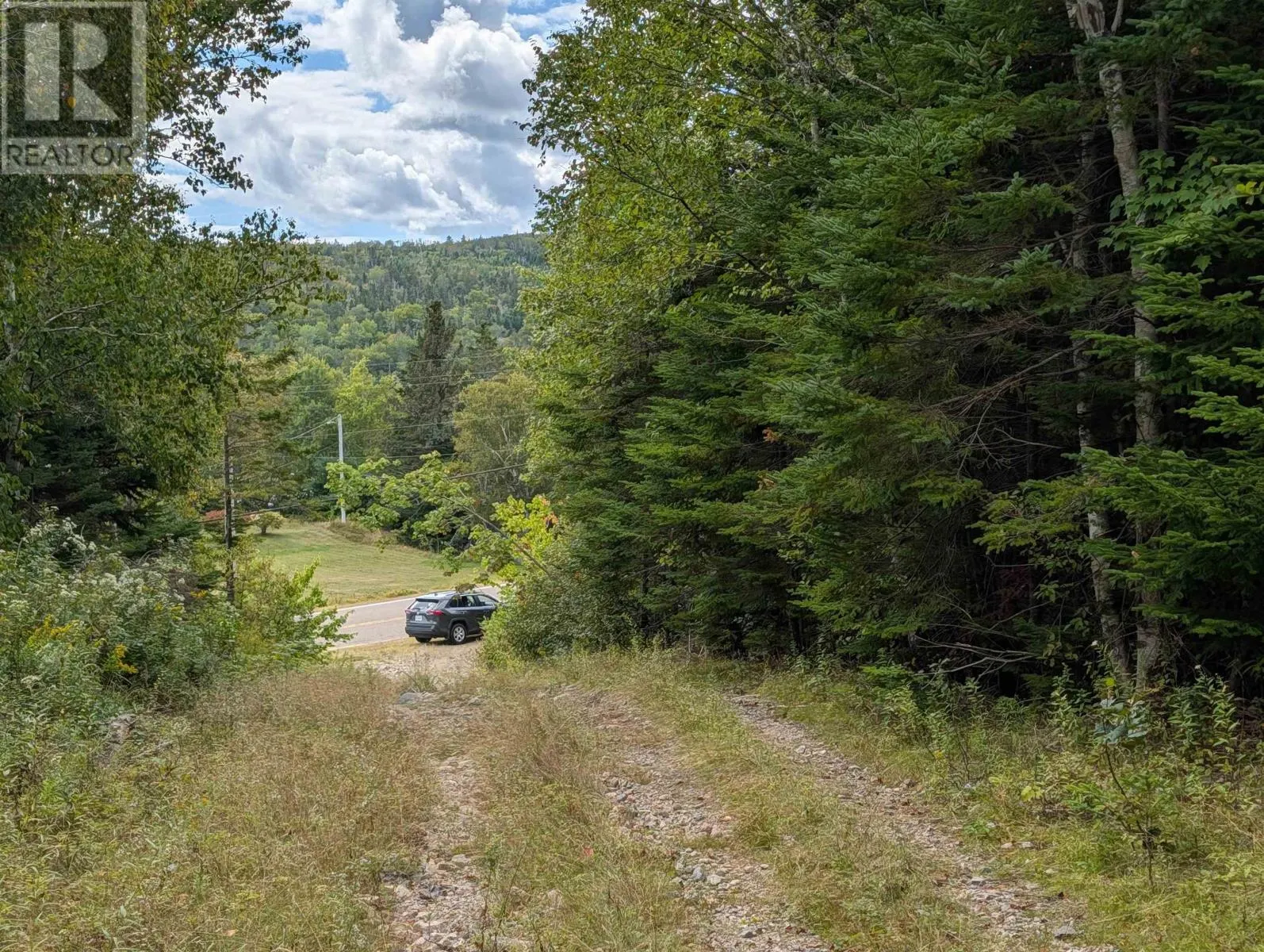 Lot 1 Highway 316