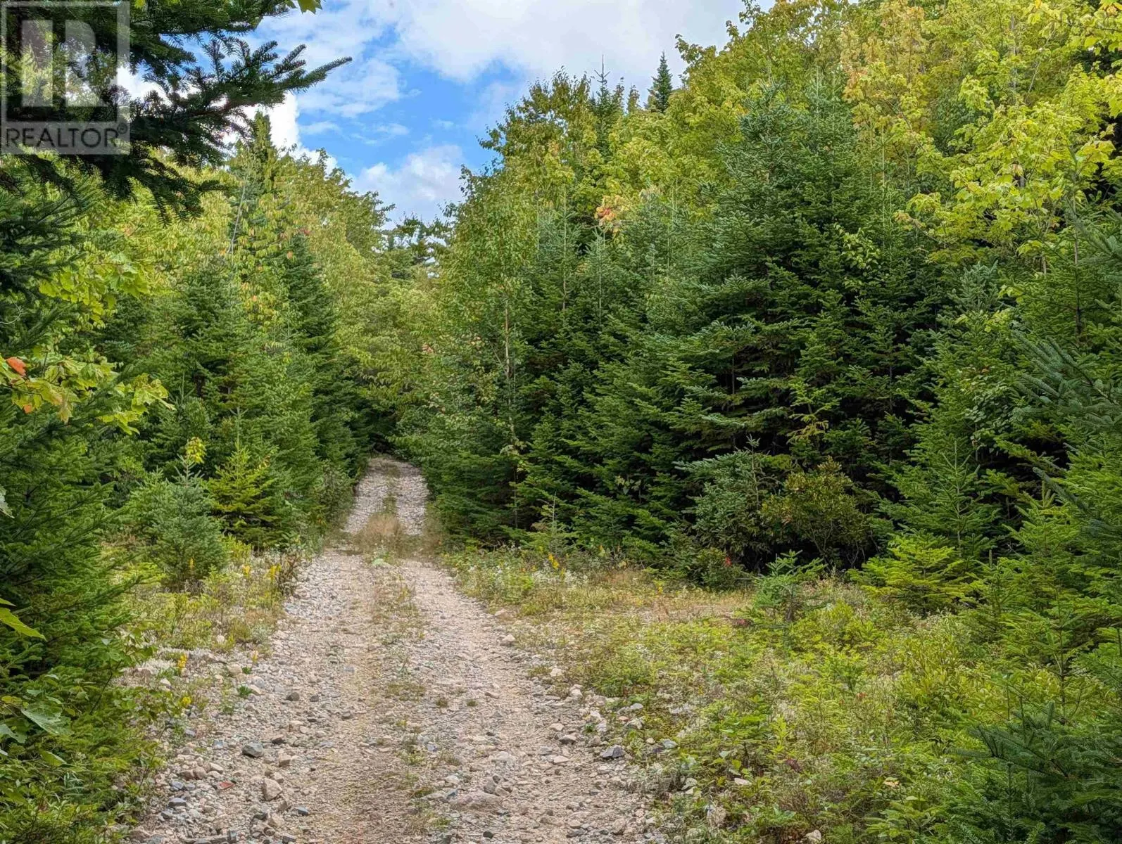 Lot 1 Highway 316
