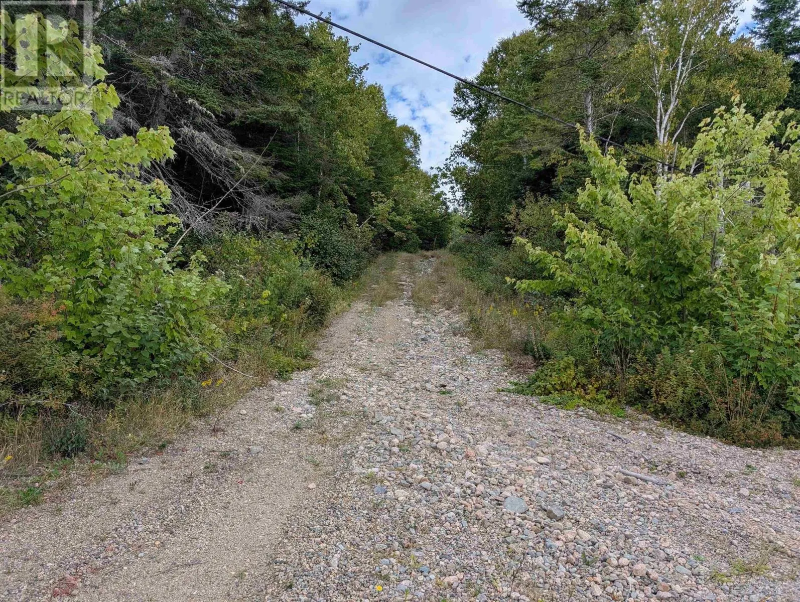 Lot 1 Highway 316