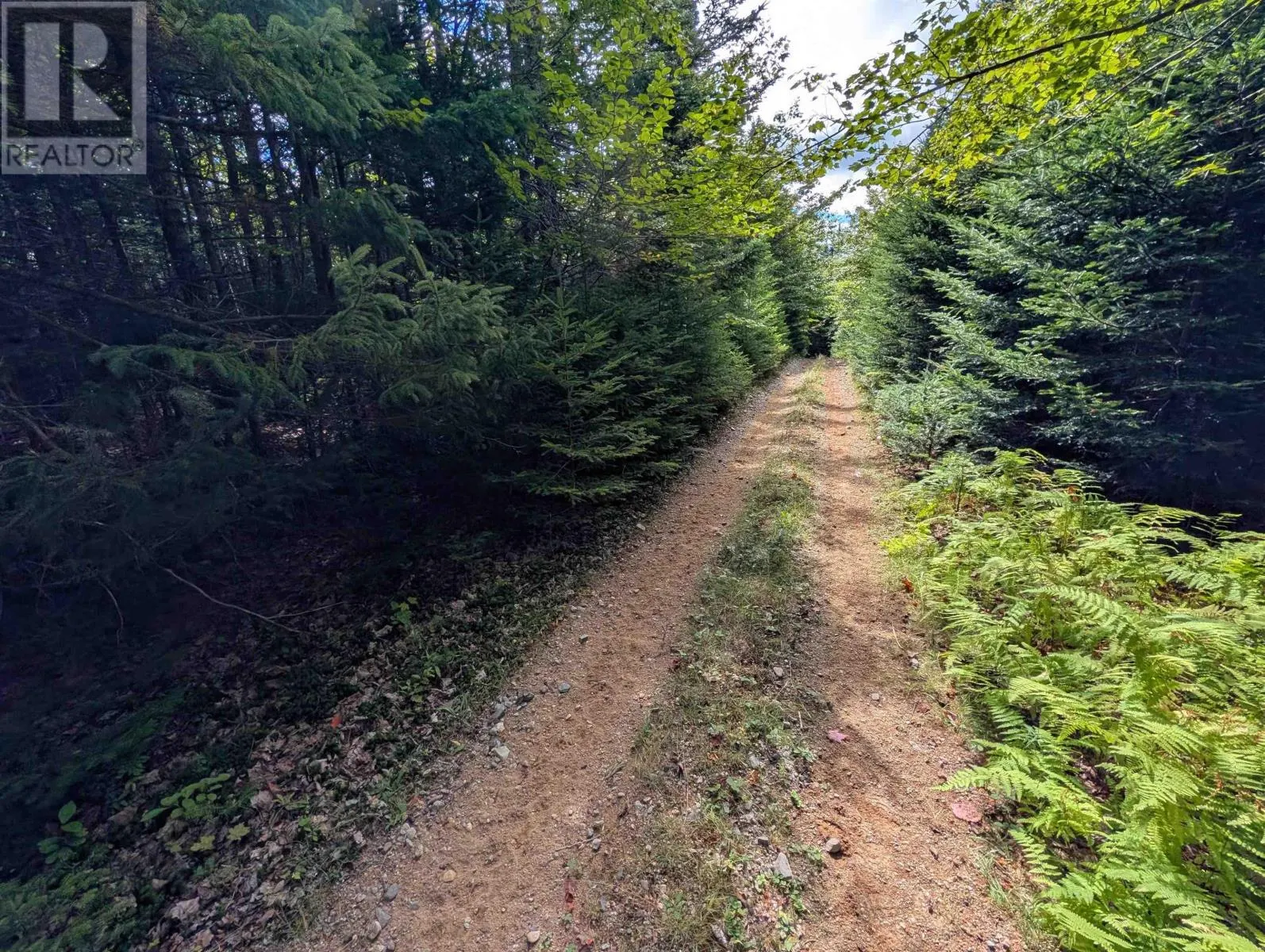 Lot 1 Highway 316