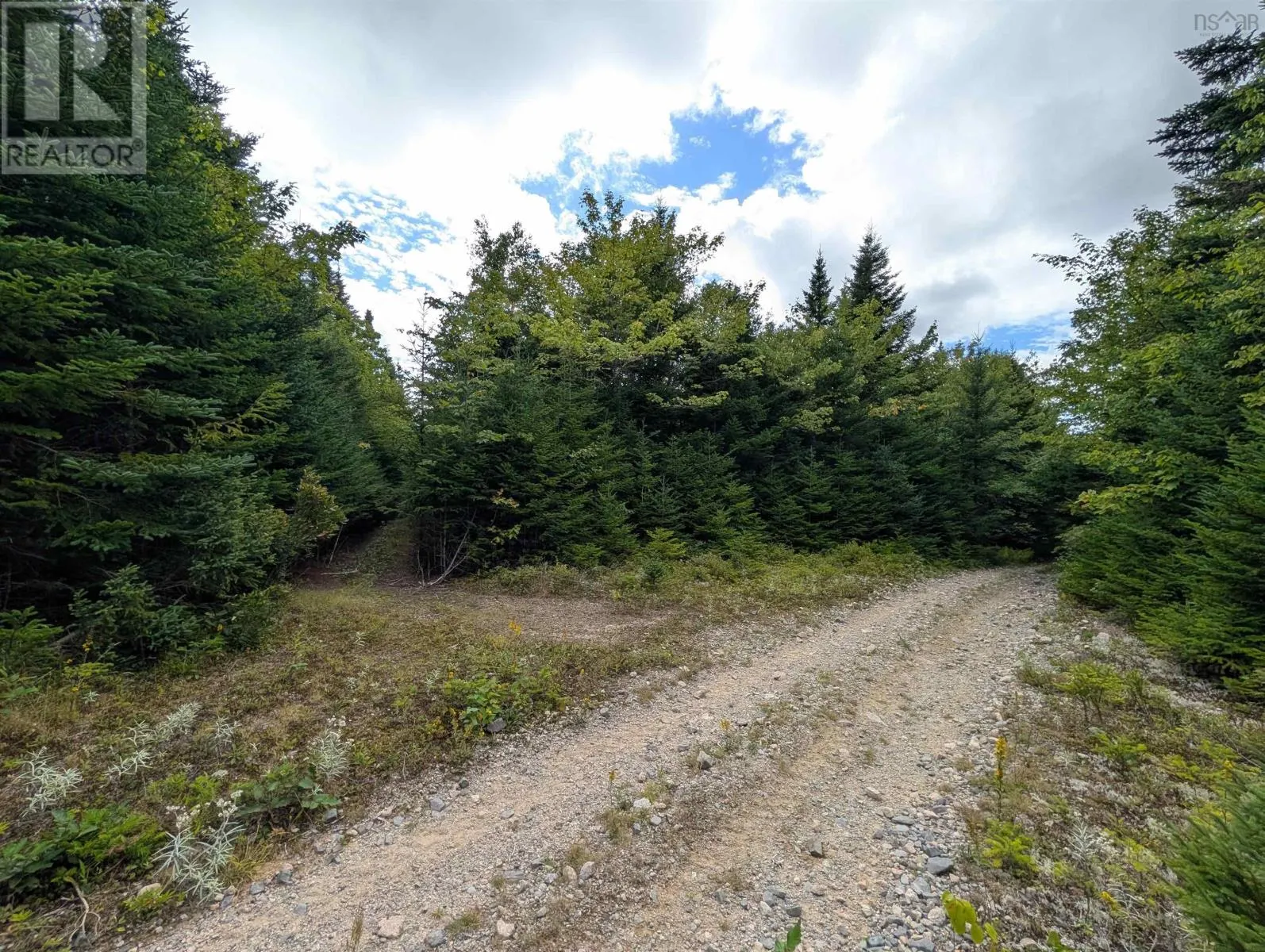 Lot 1 Highway 316