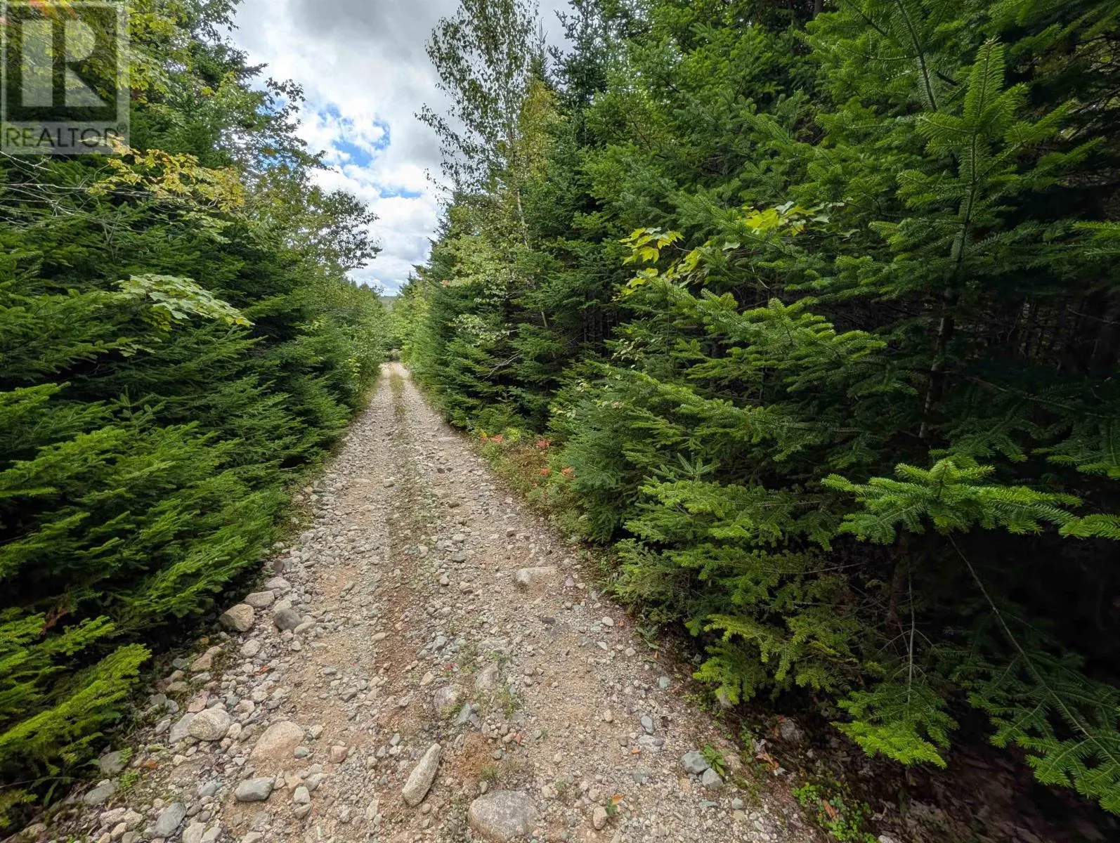 Lot 1 Highway 316