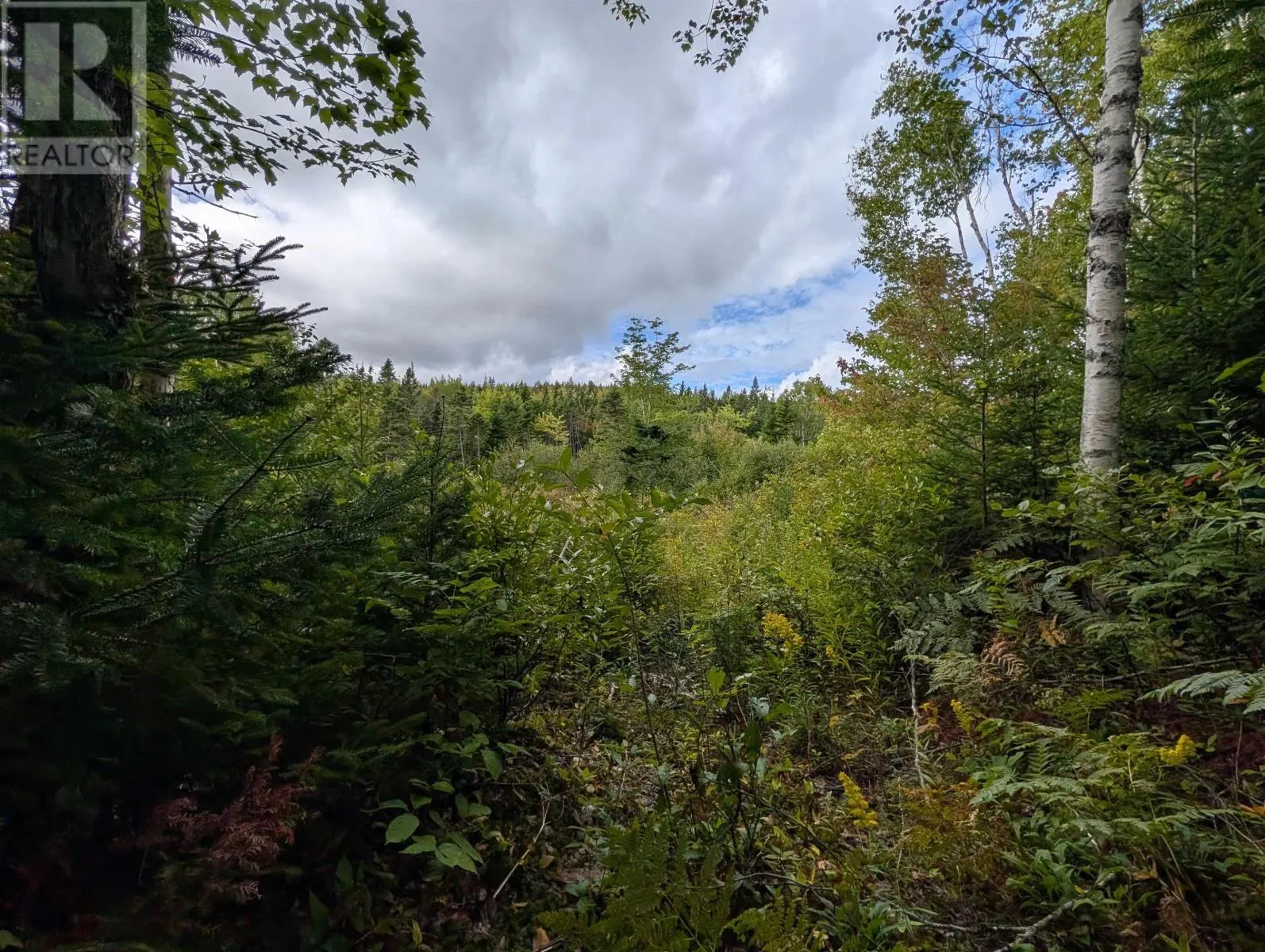 Lot 1 Highway 316