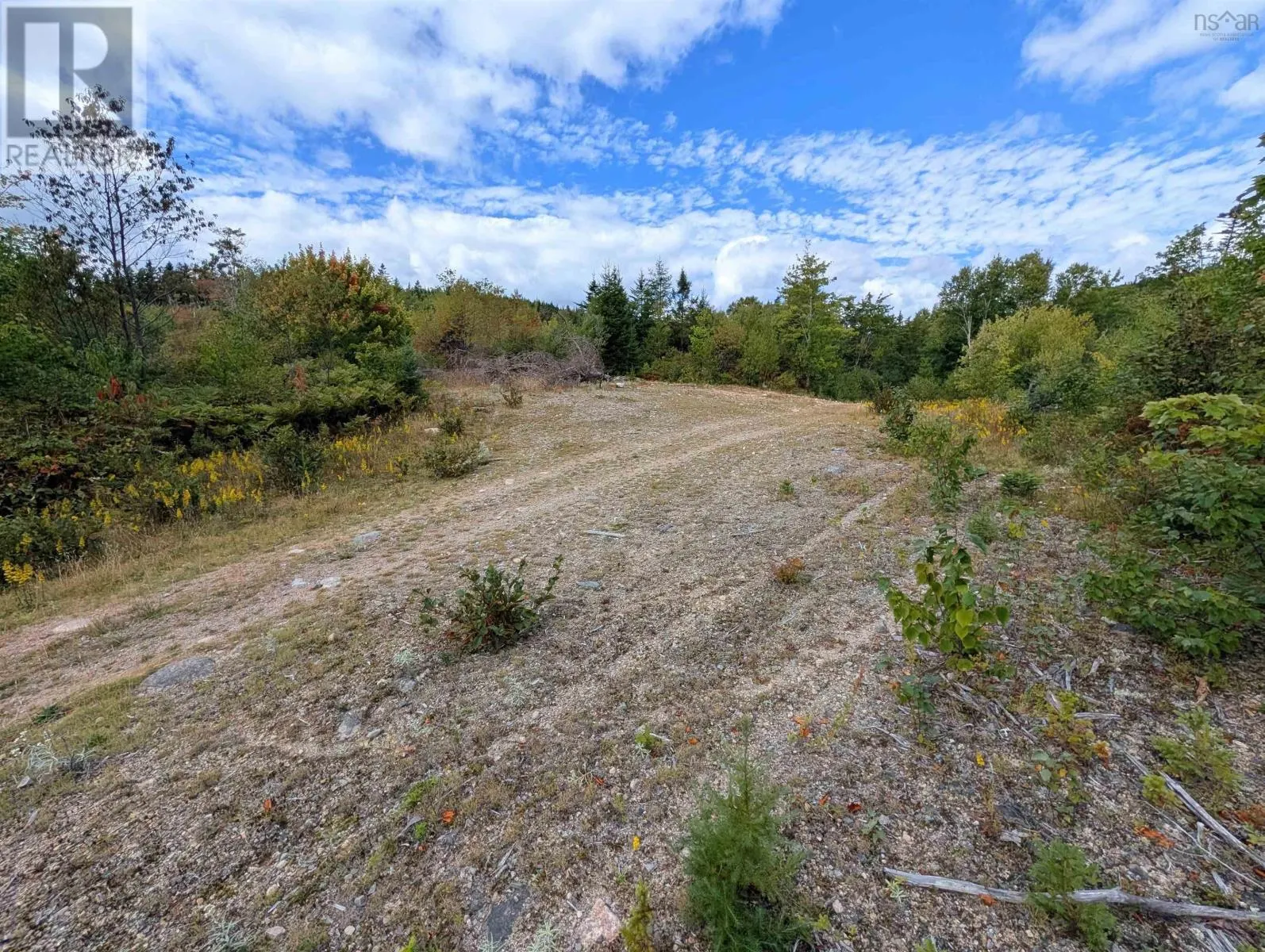 Lot 1 Highway 316