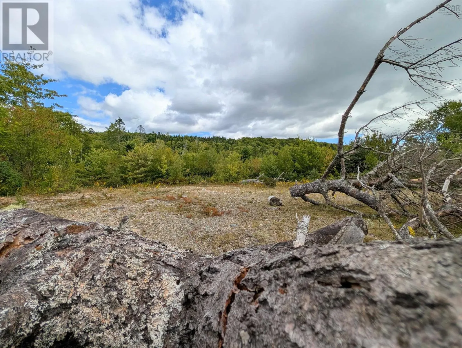 Lot 1 Highway 316